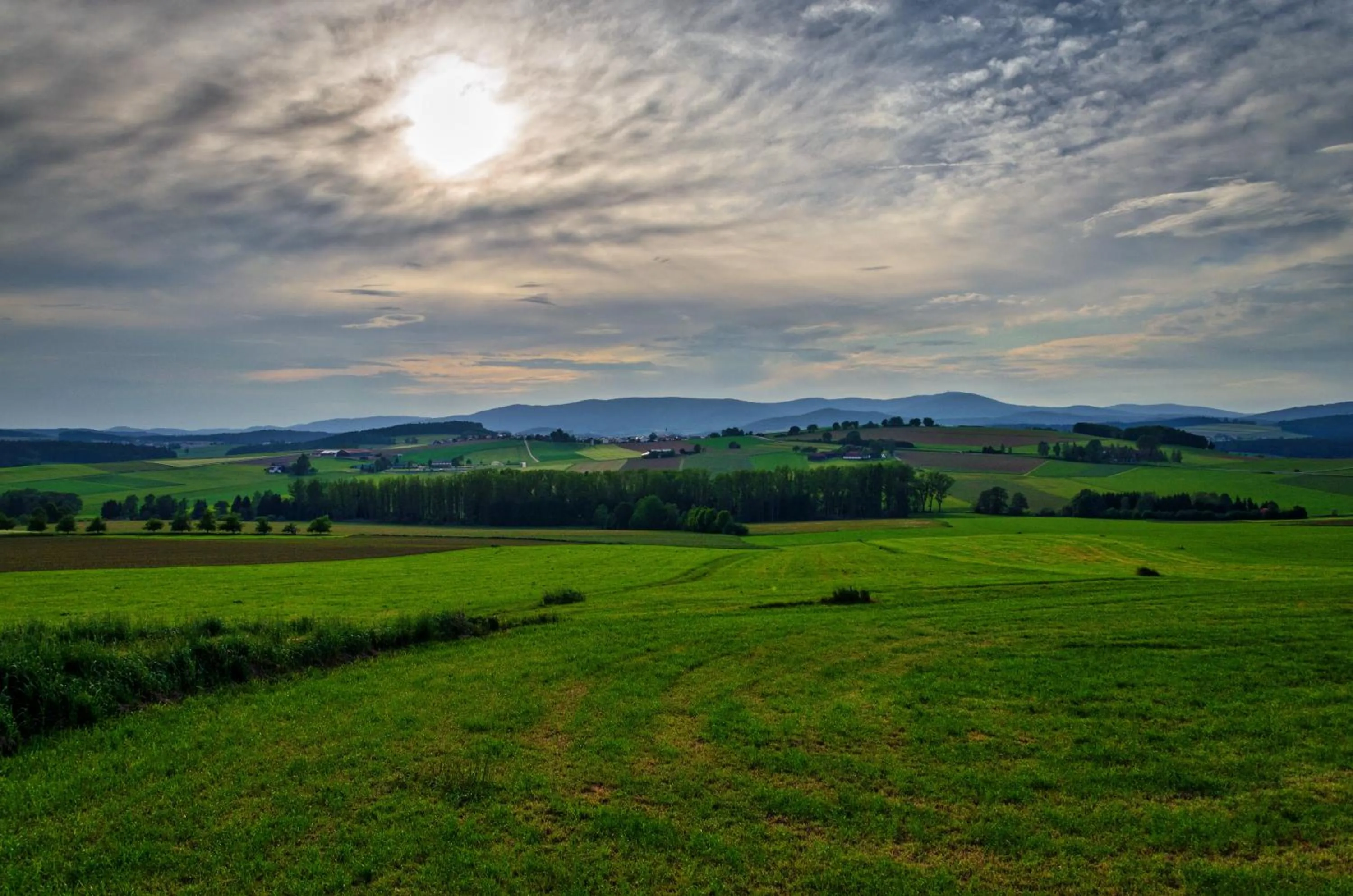 Natural landscape in Hotel Gasthof Altmann