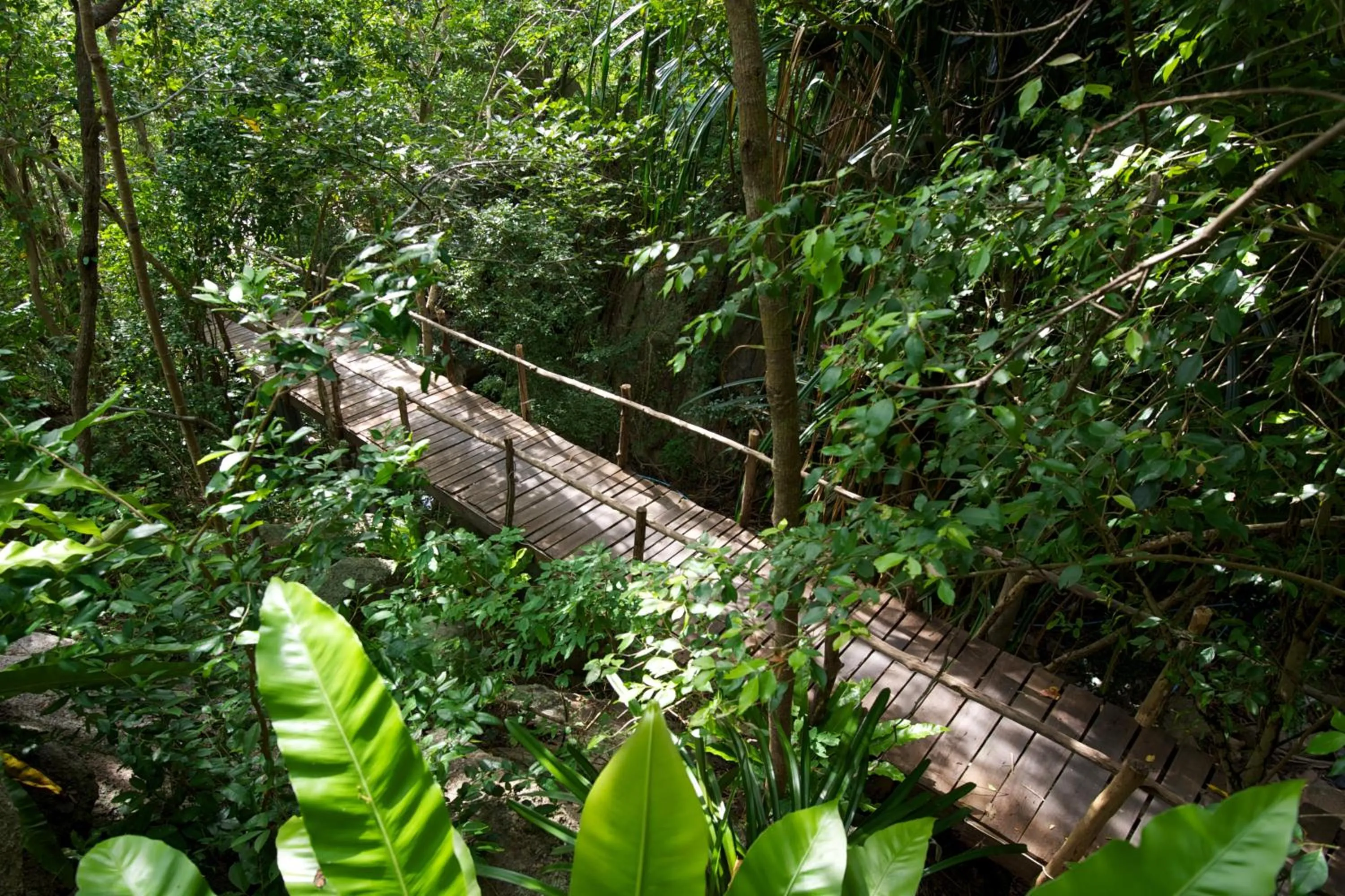 Area and facilities in Tanote Villa SHA Extra Plus