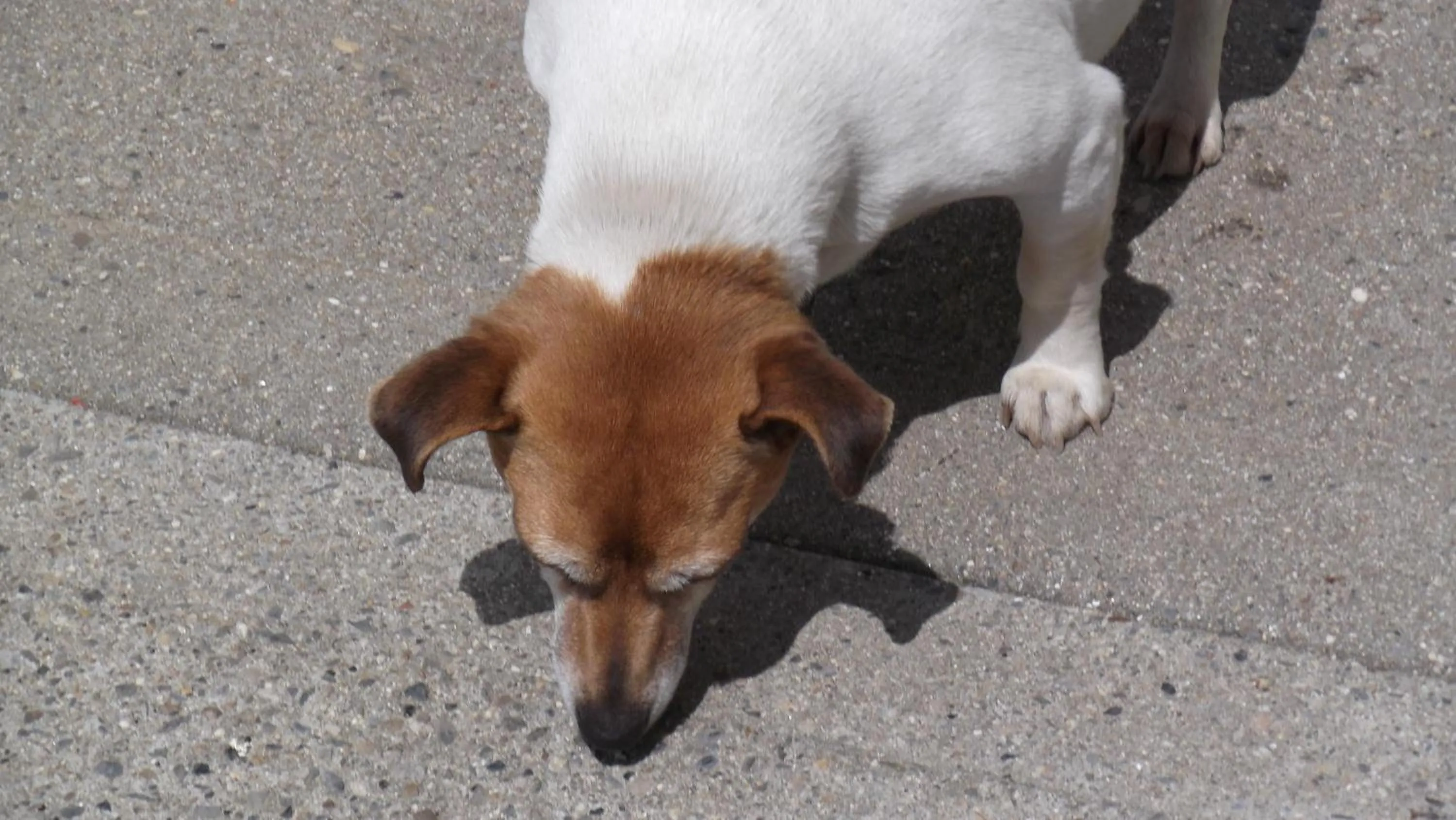 Ashley Lodge Bed & Breakfast