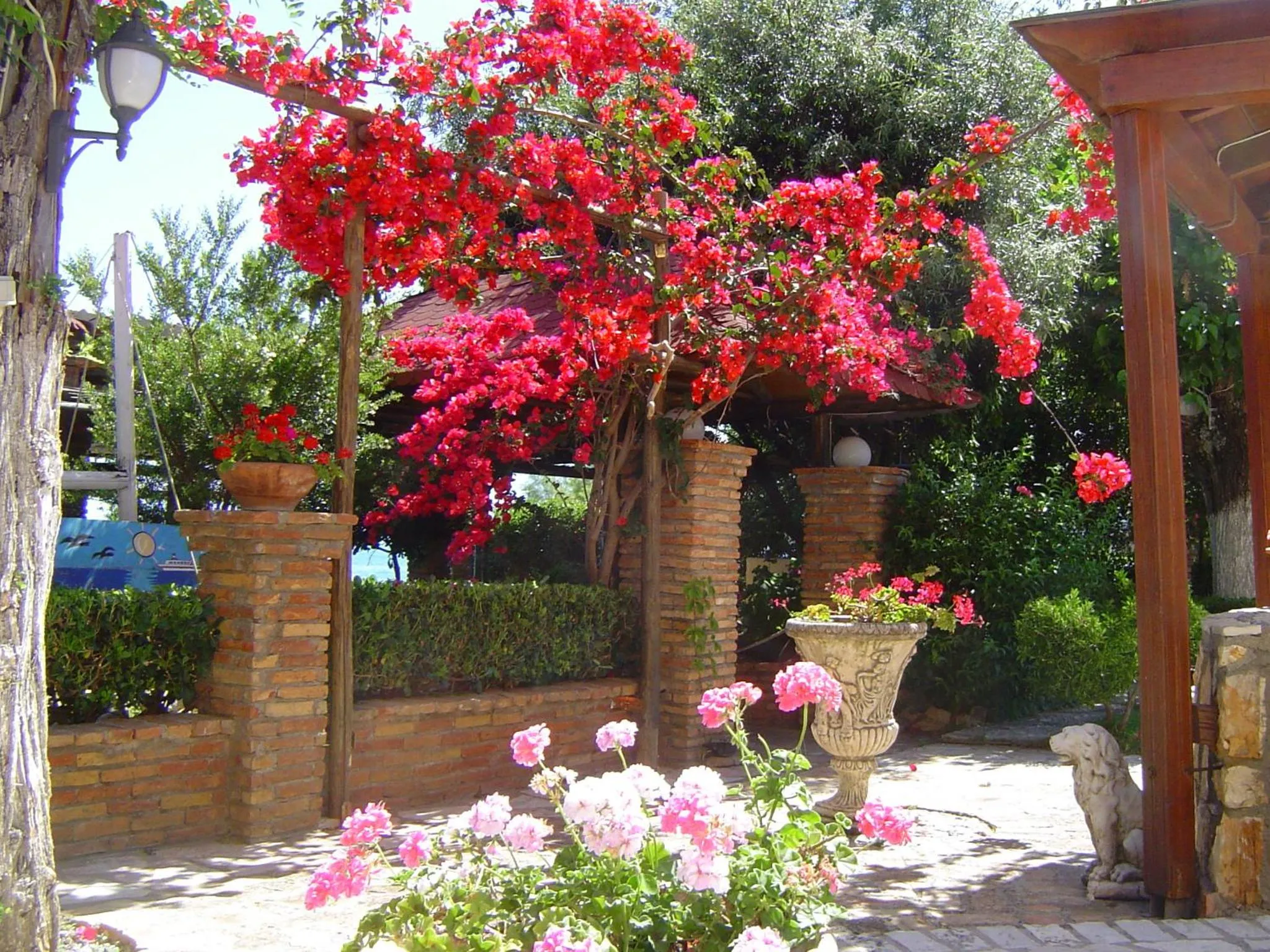 Garden in Castella Beach