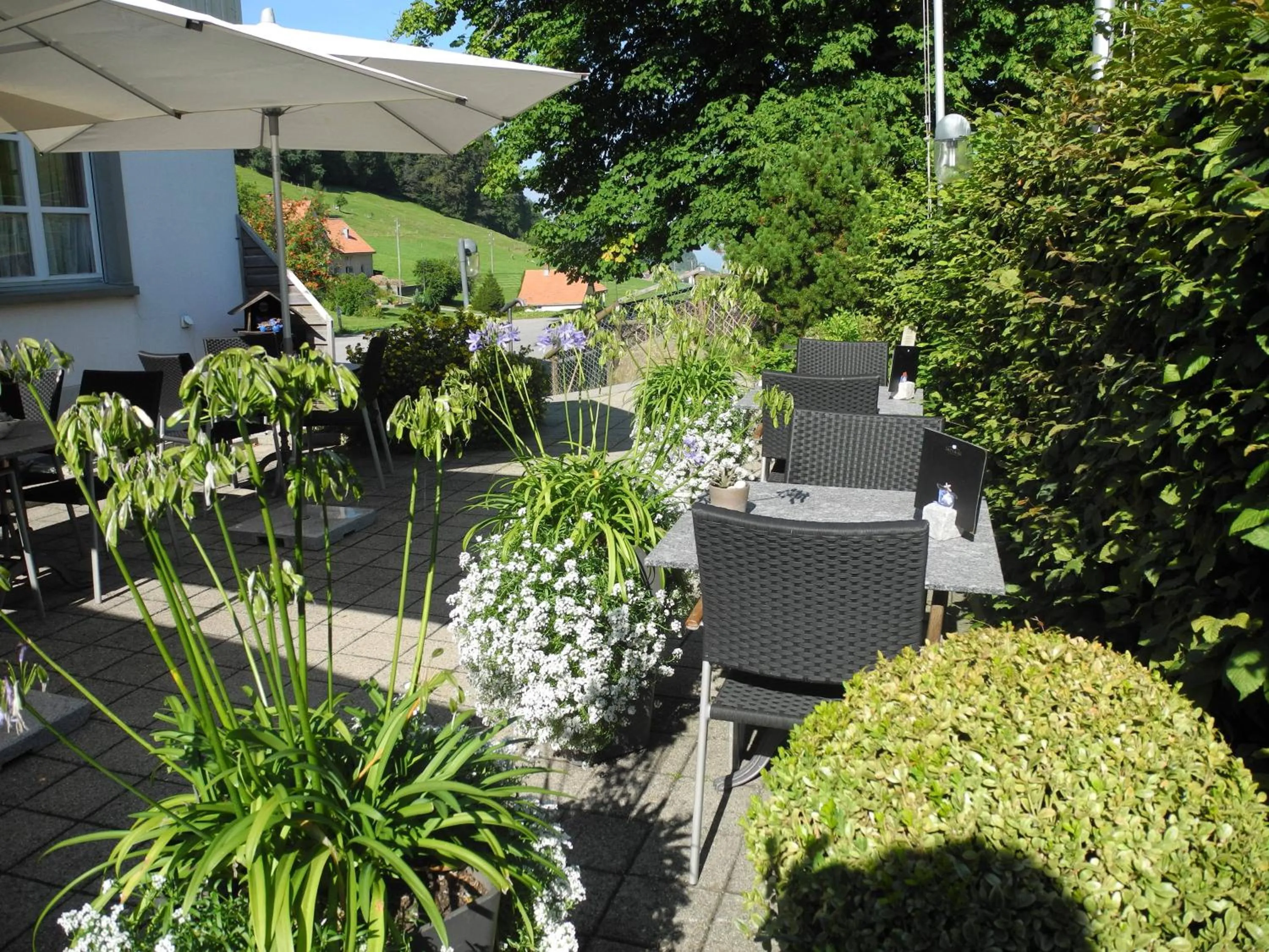 Garden in Landgasthaus Bären