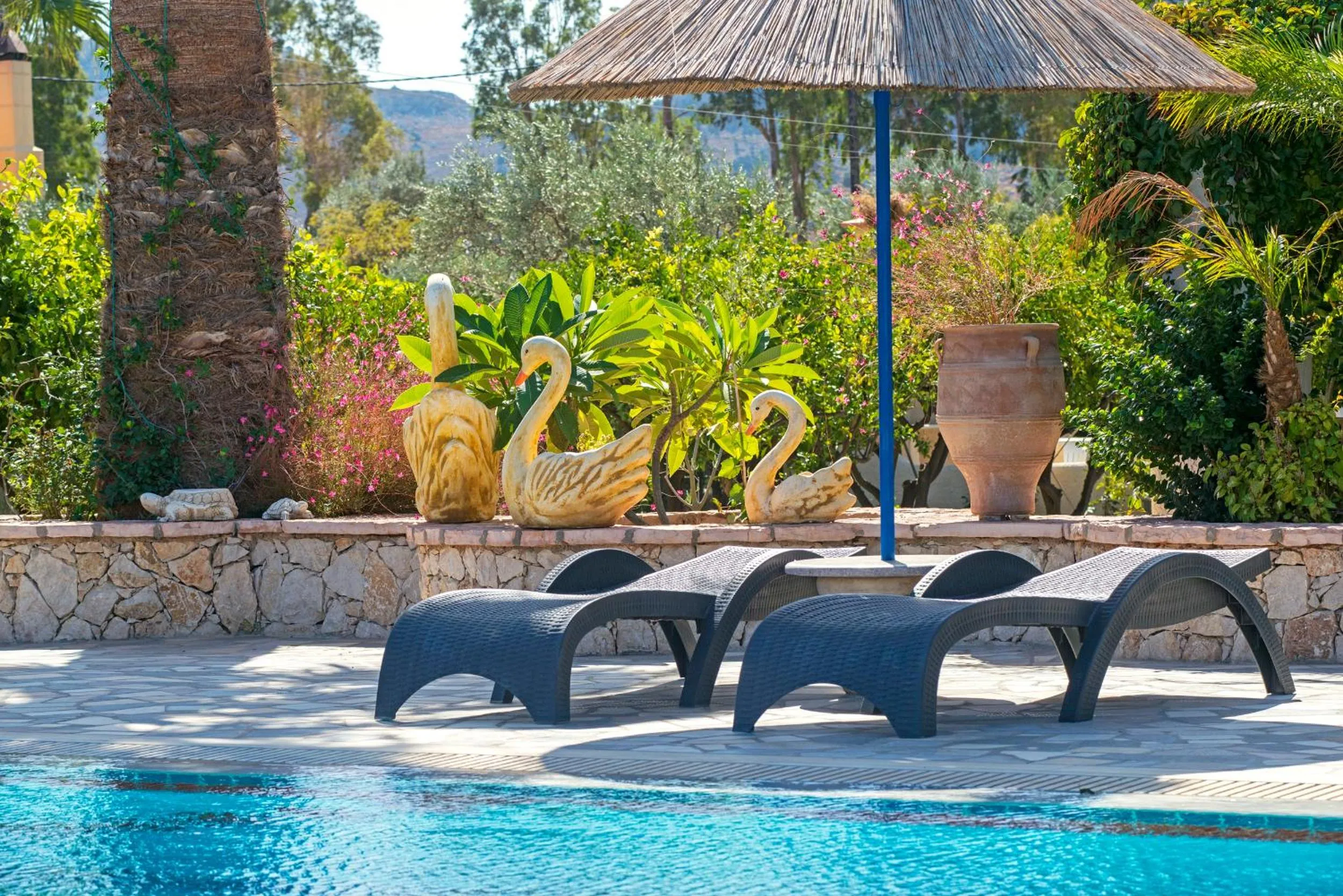 Swimming pool in Elefteria Apts & Suites