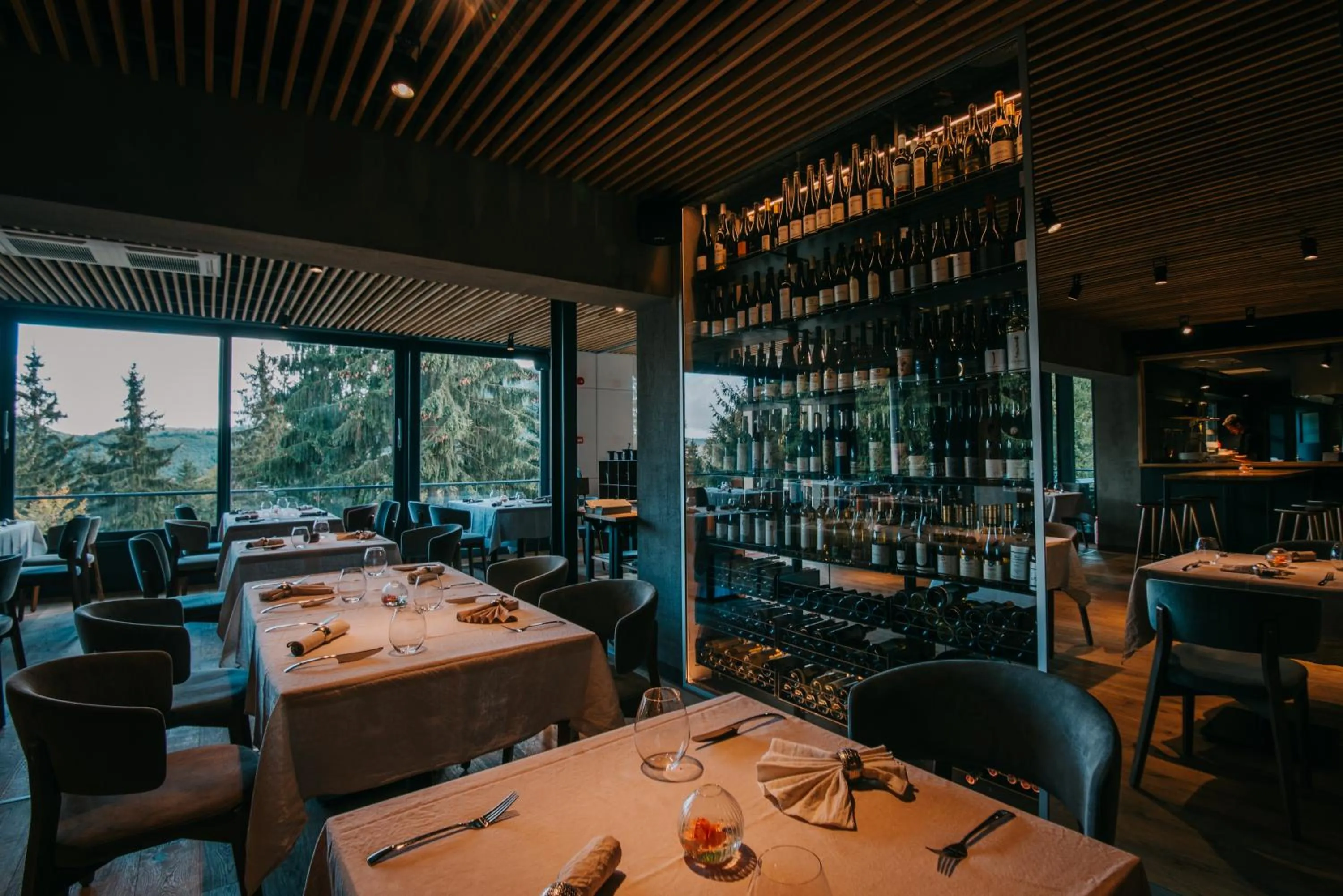 Restaurant/places to eat in Balvanyos Resort - Peakture Hotel & Grand Hotel Balvanyos