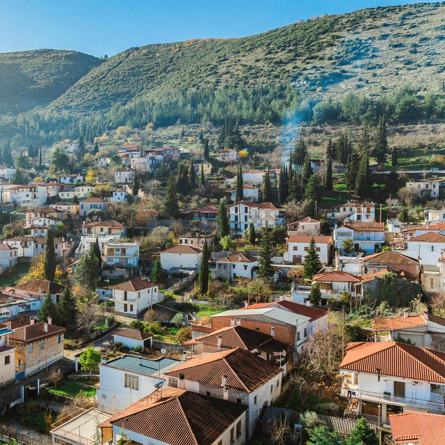 View (from property/room) in Archontiko Parnassus Dadi