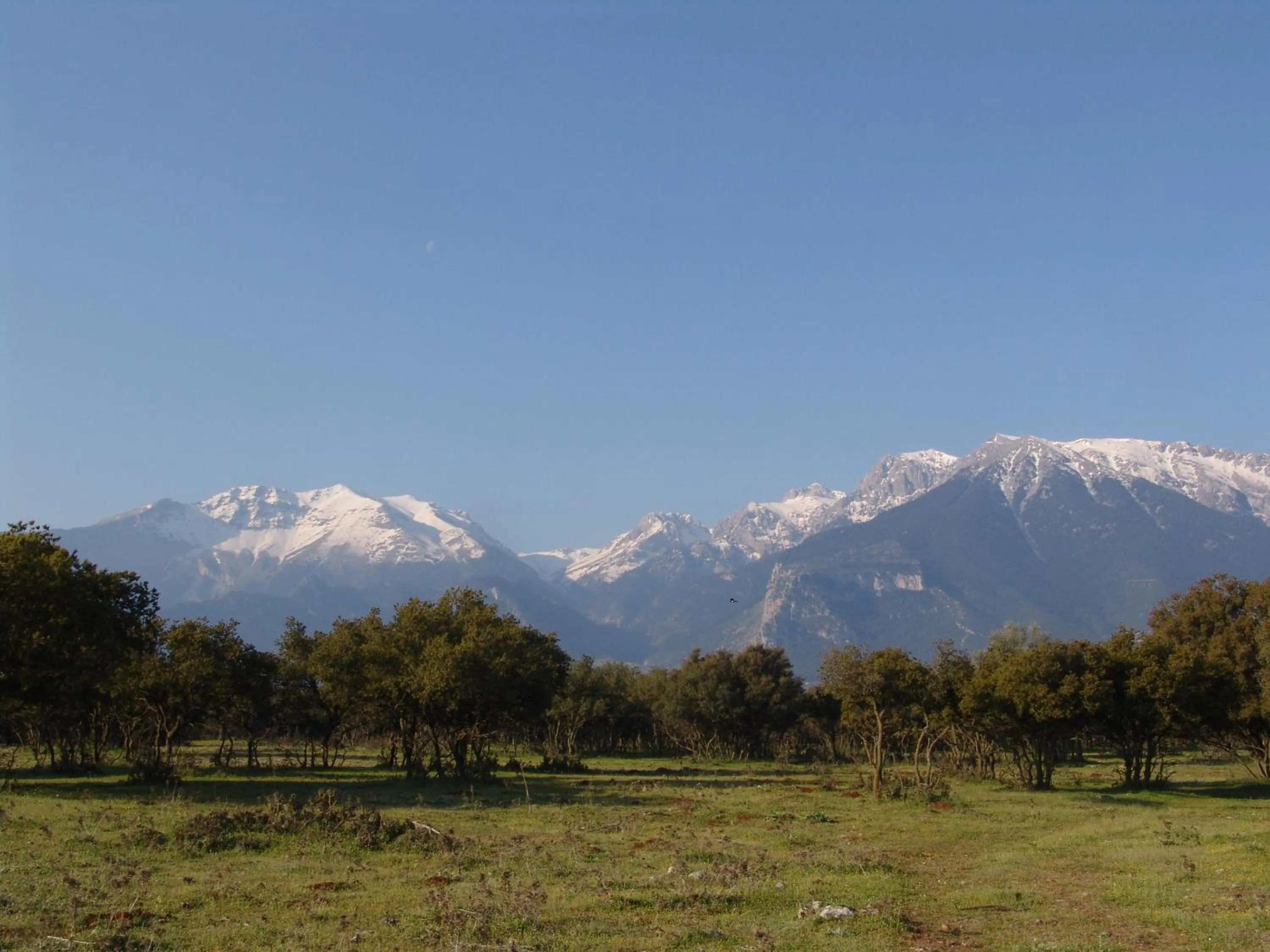 Spring in Archontiko Parnassus Dadi