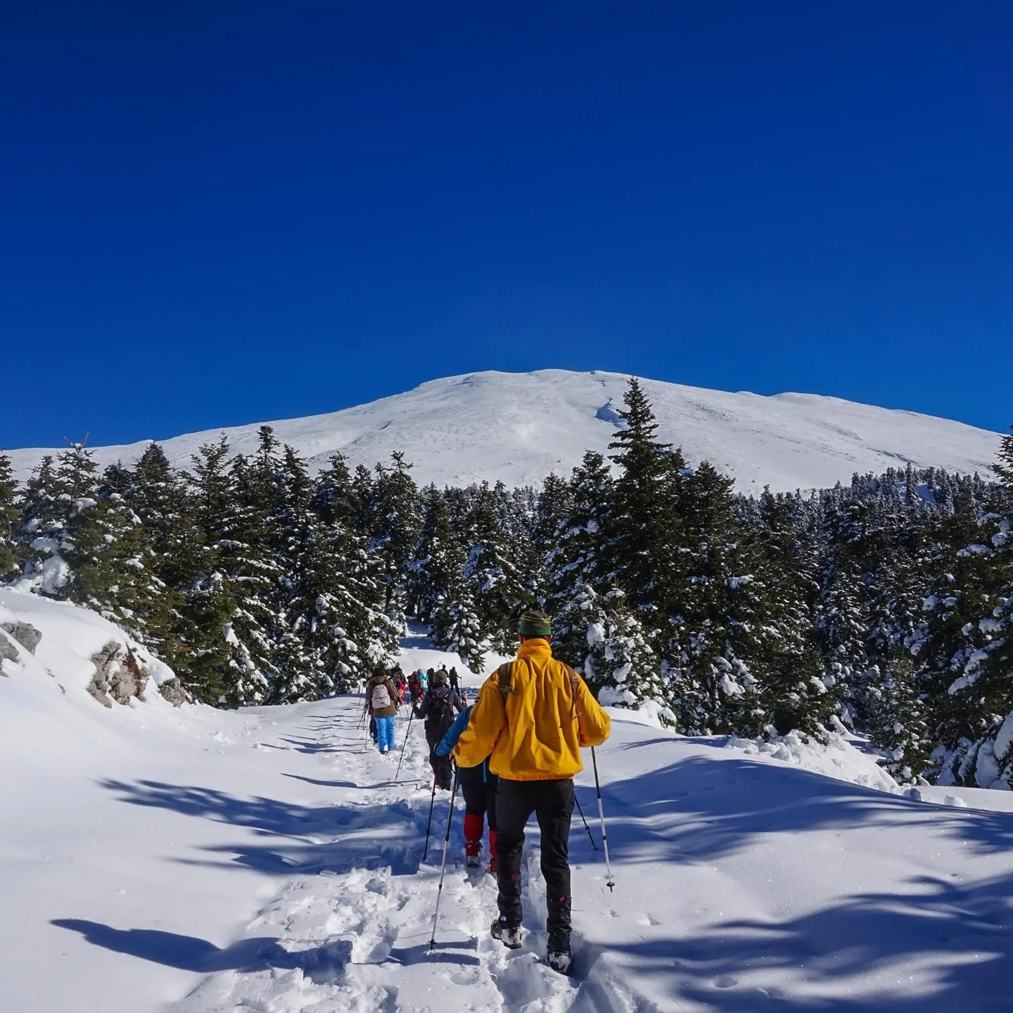 Activities in Archontiko Parnassus Dadi