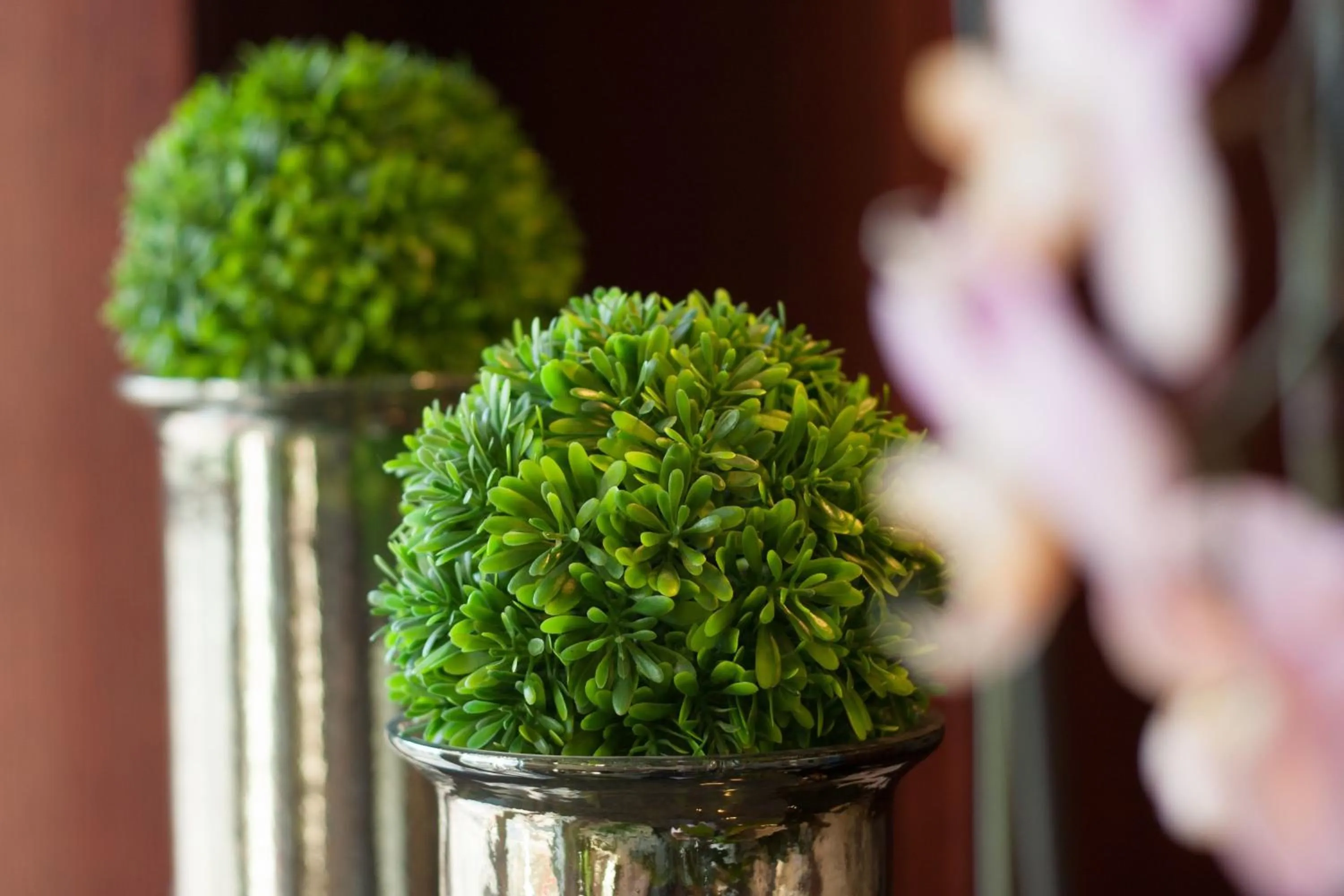 Other in Xavin Wellness Hotel & Restaurant