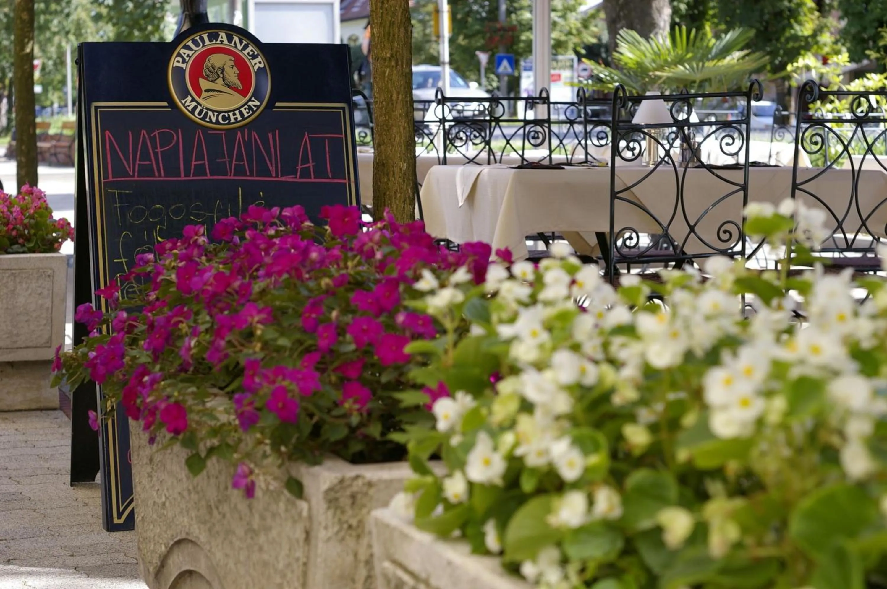 Garden in Xavin Wellness Hotel & Restaurant