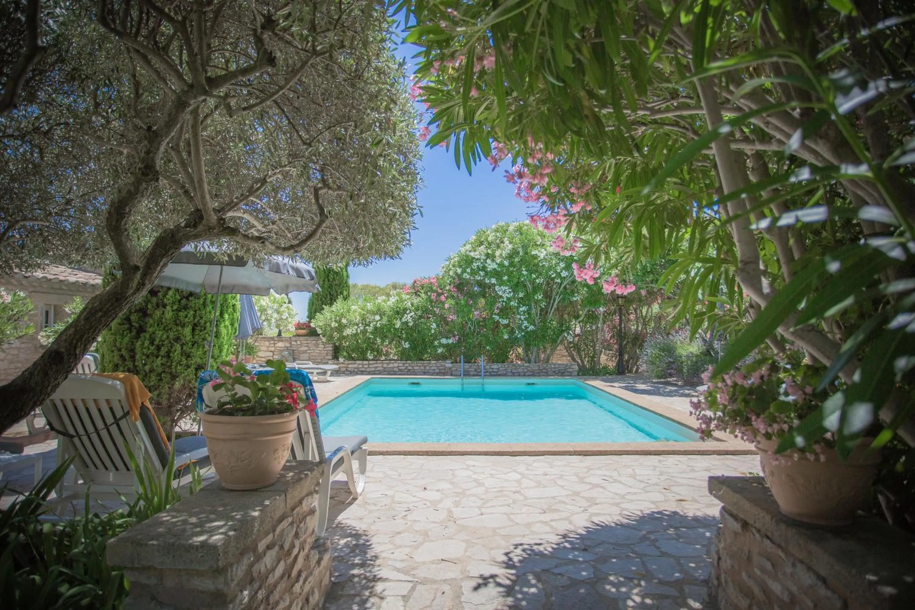 Garden in L'Enclos des Lauriers Roses