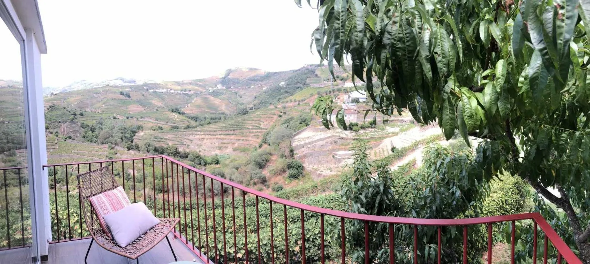 Quinta da Pousada Casa de Campo