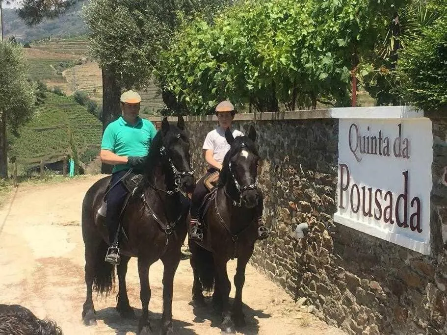 Quinta da Pousada Casa de Campo