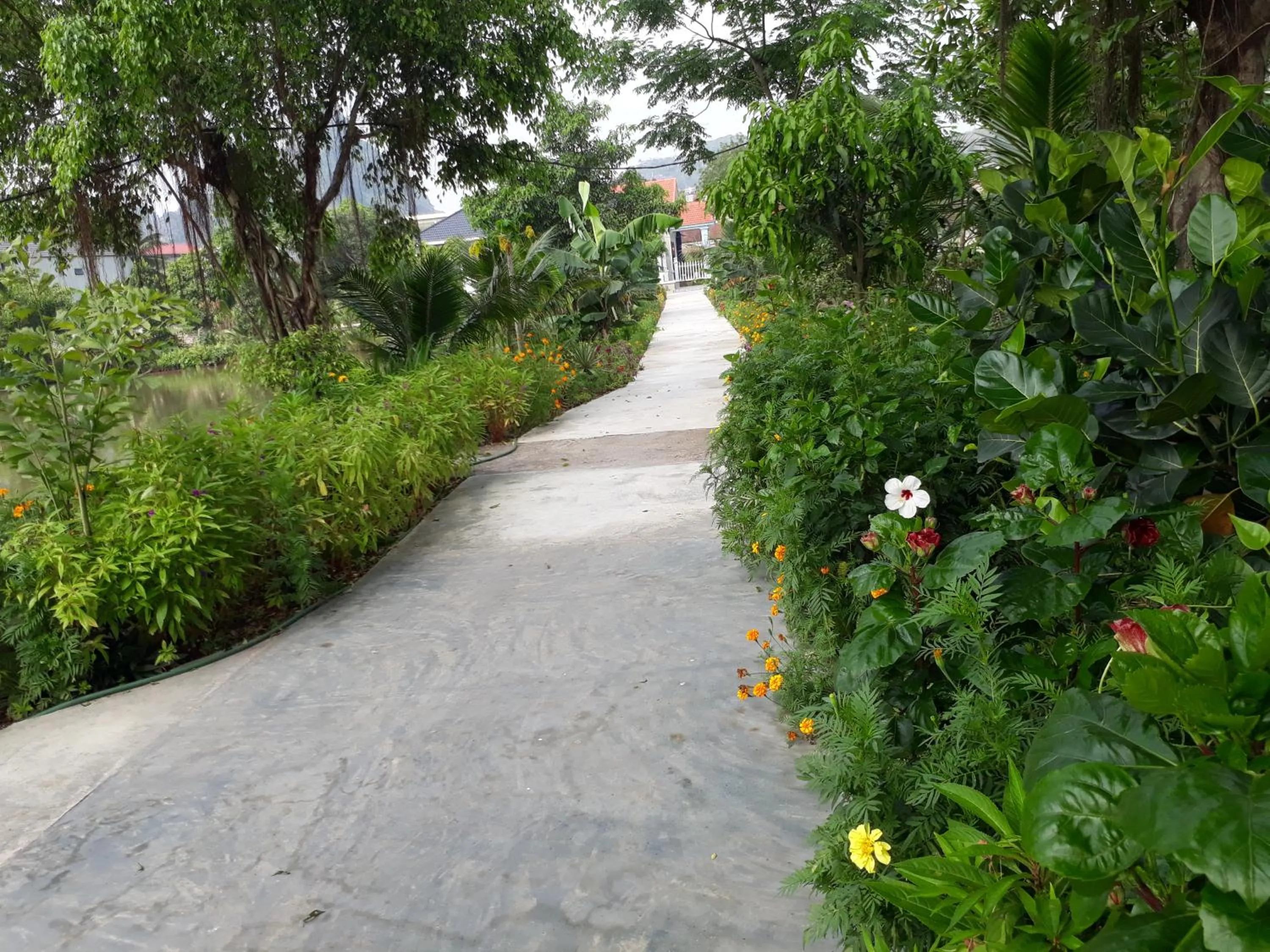 Natural landscape in Tuyet's Homestay