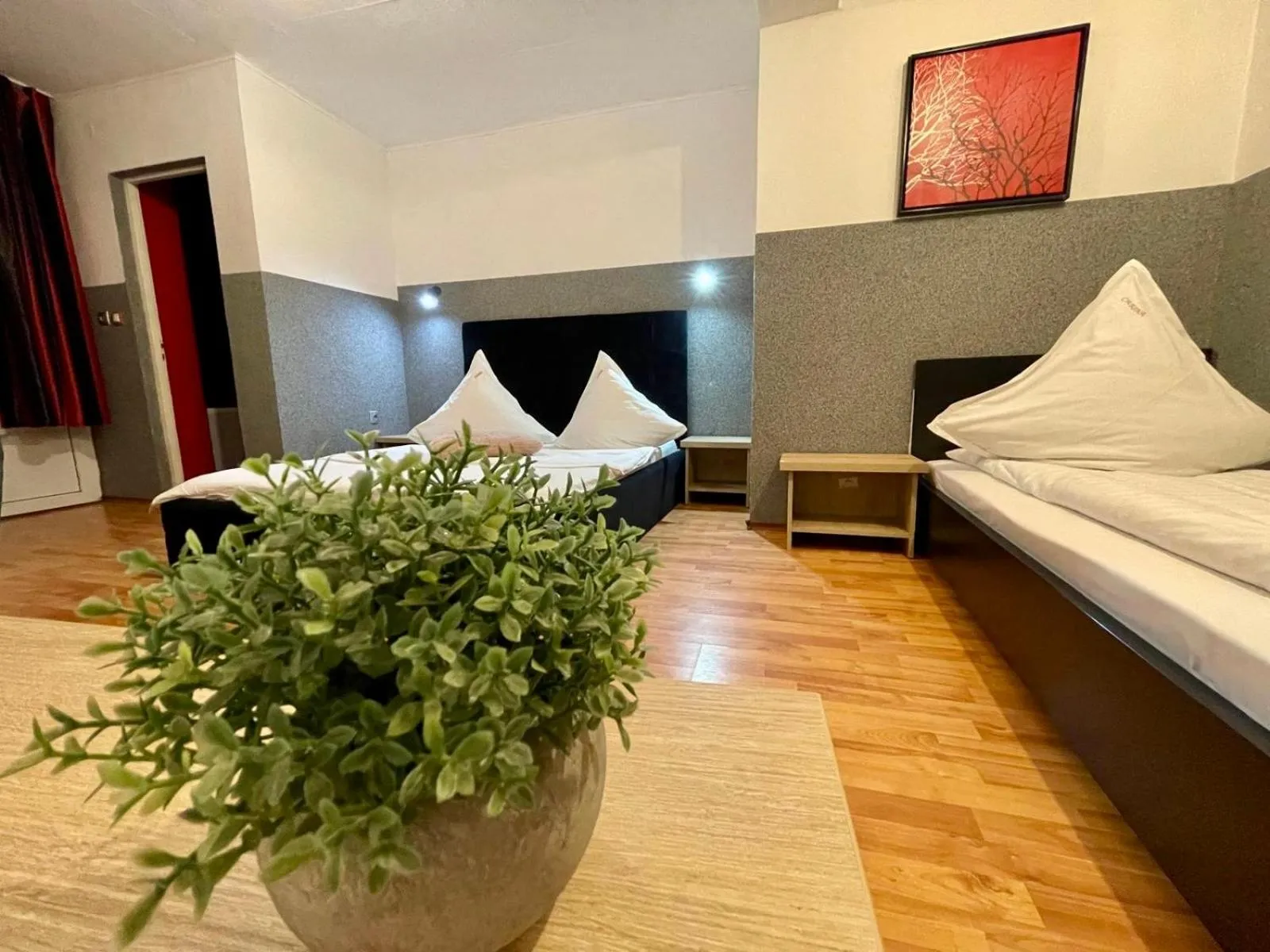 Bed in Pensiunea Carina