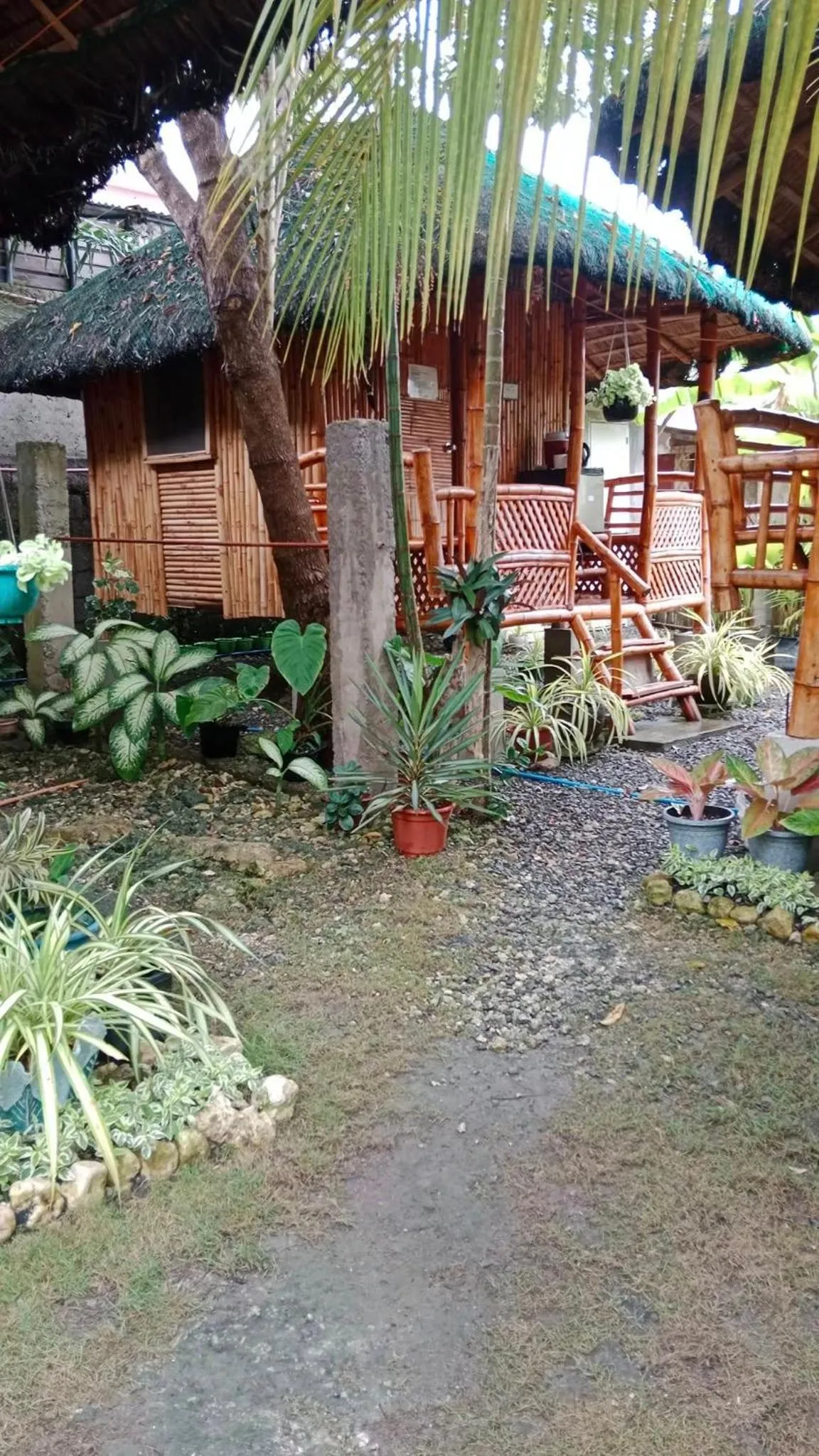 Property building in Titanic's Nipa Hut
