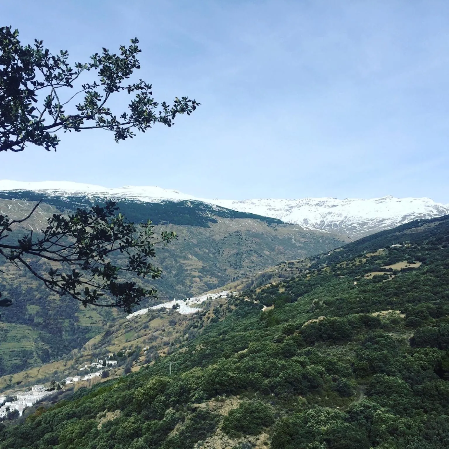 Apartamentos Vista Veleta