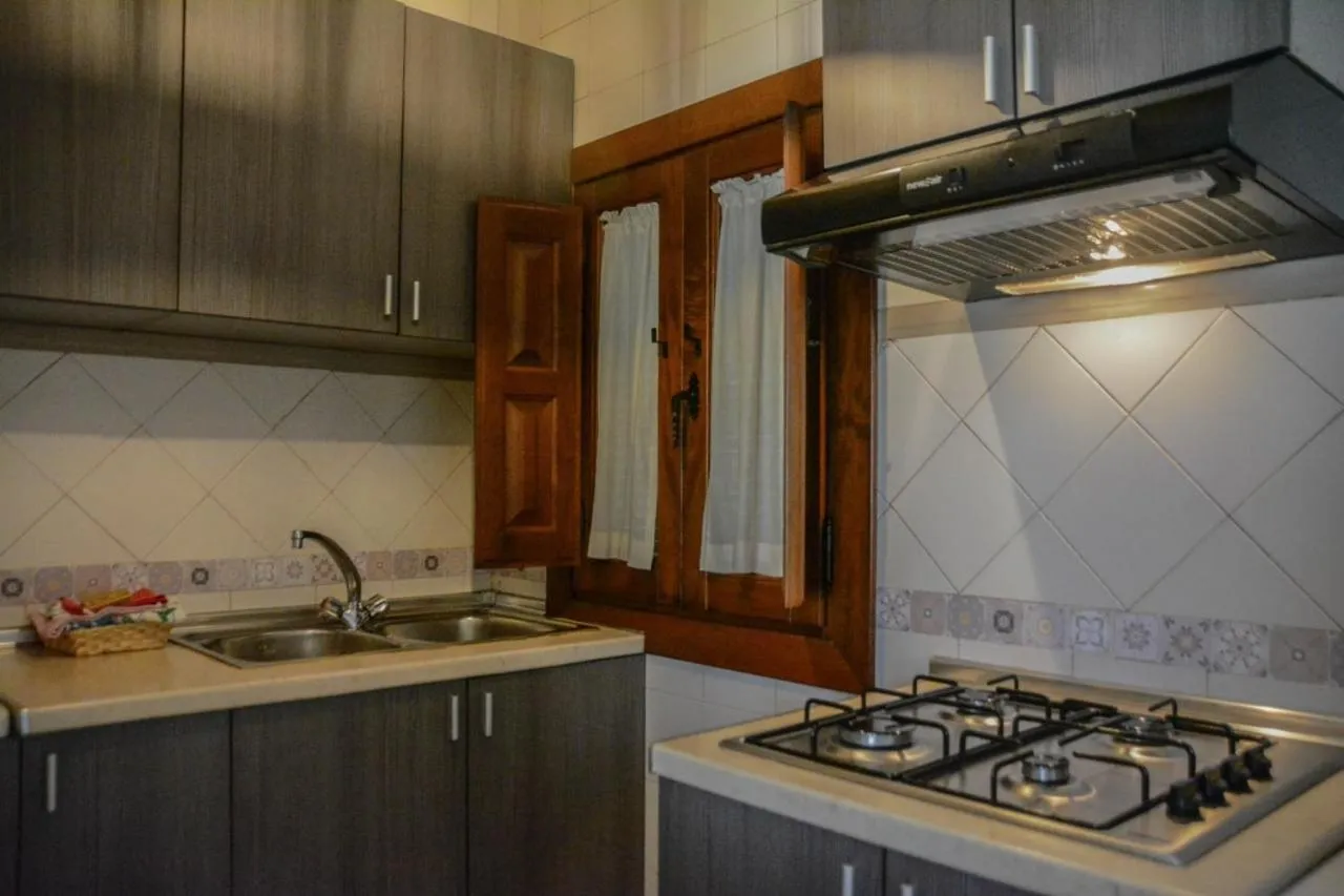 Kitchen or kitchenette in Apartamentos Vista Veleta