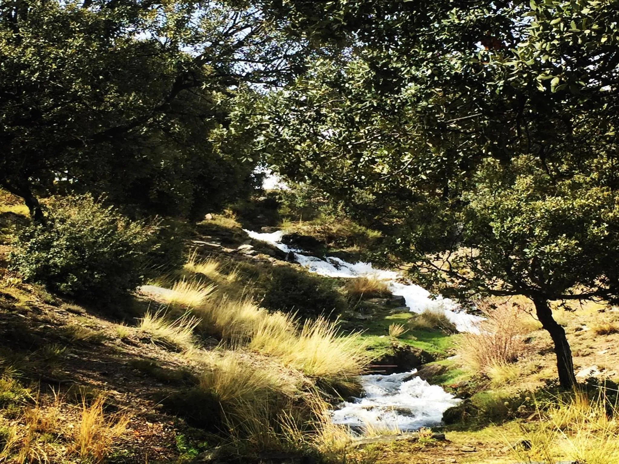 Natural landscape in Apartamentos Vista Veleta