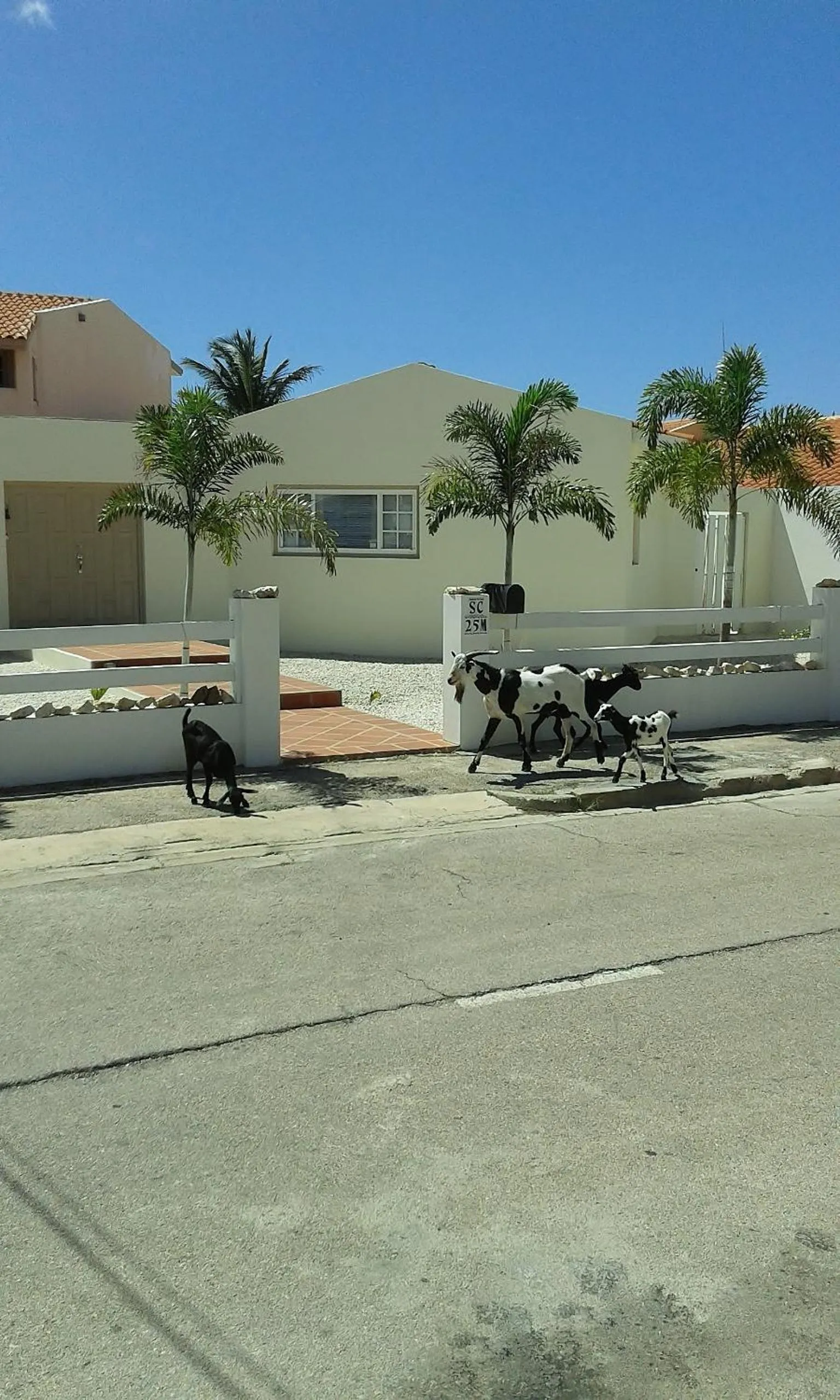 Facade/entrance in Karibu Aruba Boutique Hotel