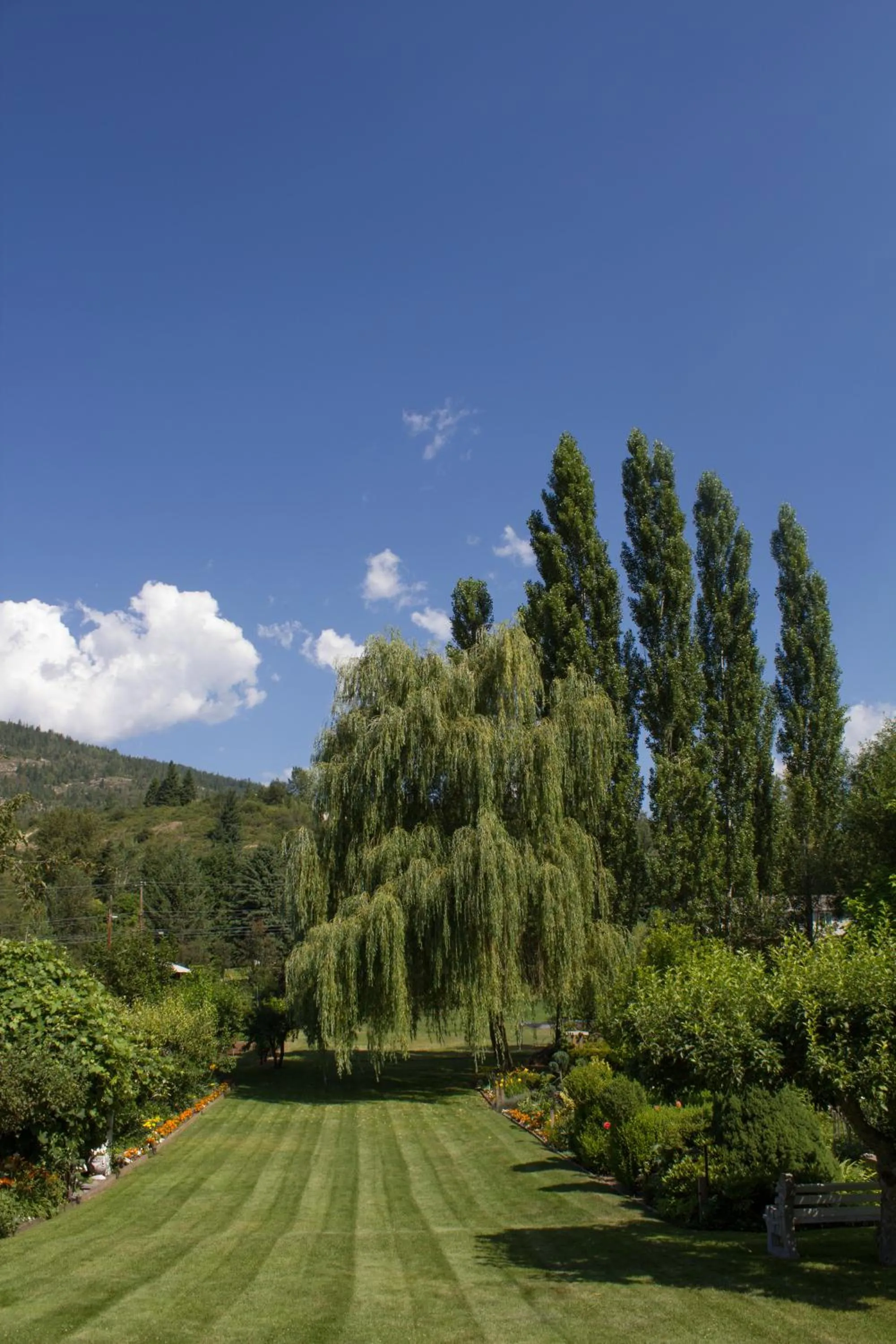 Genelle House B&B Guest House