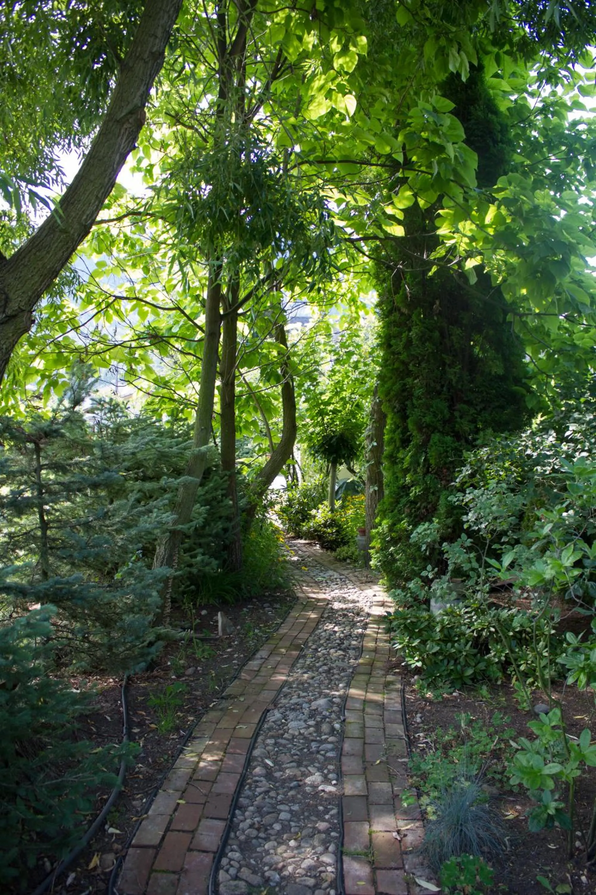 Genelle House B&B Guest House