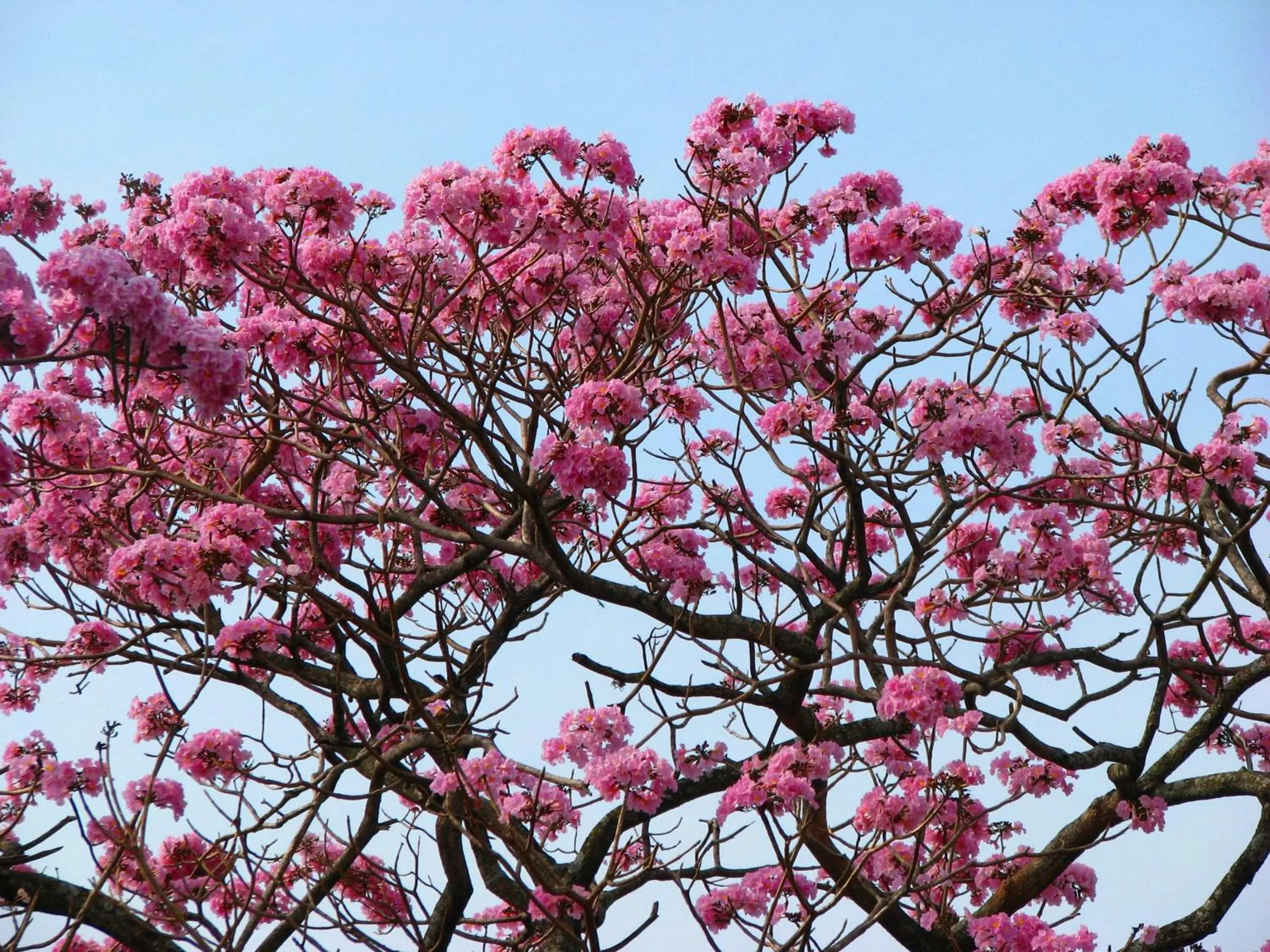 Facade/entrance in Hotel Robledal