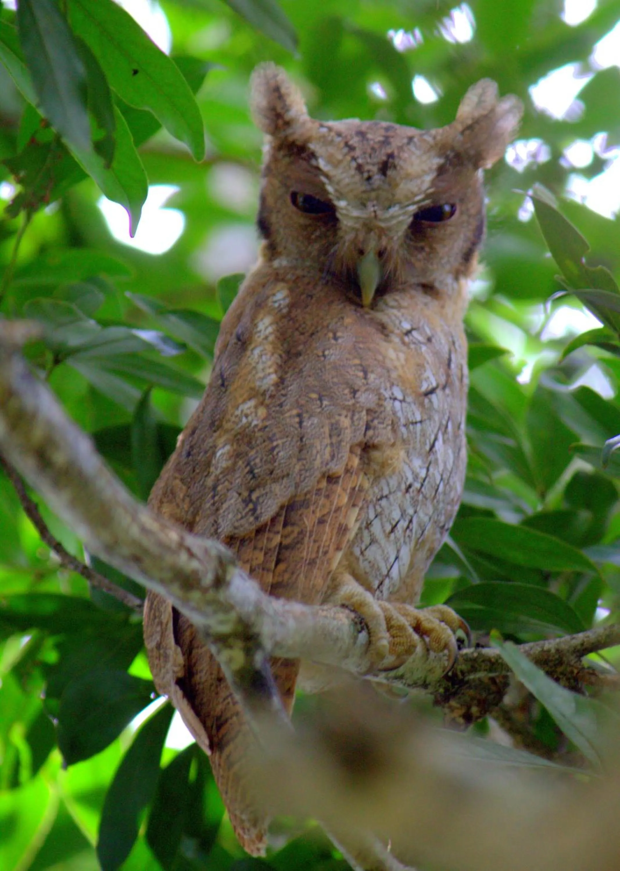 Bird's eye view in Hotel Robledal