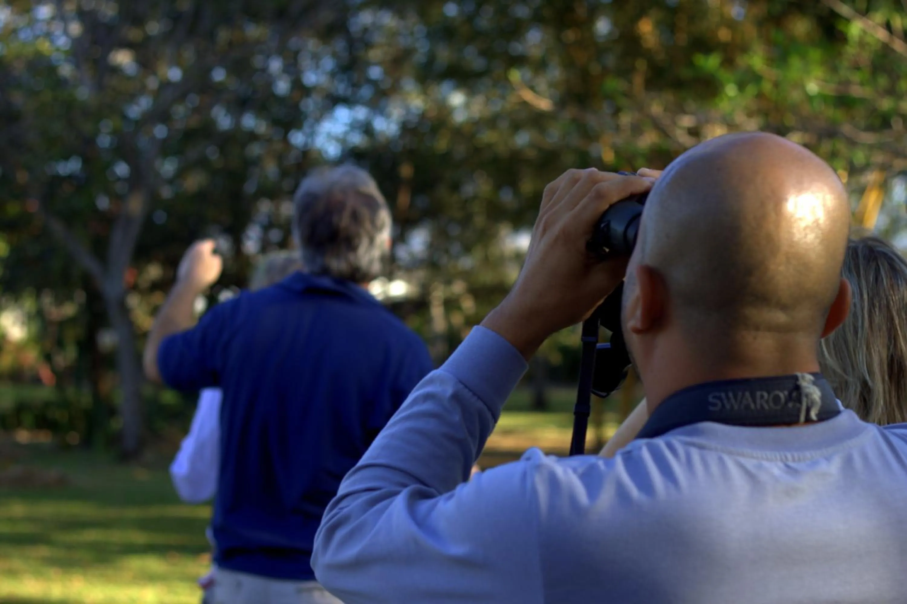 Bird's eye view in Hotel Robledal