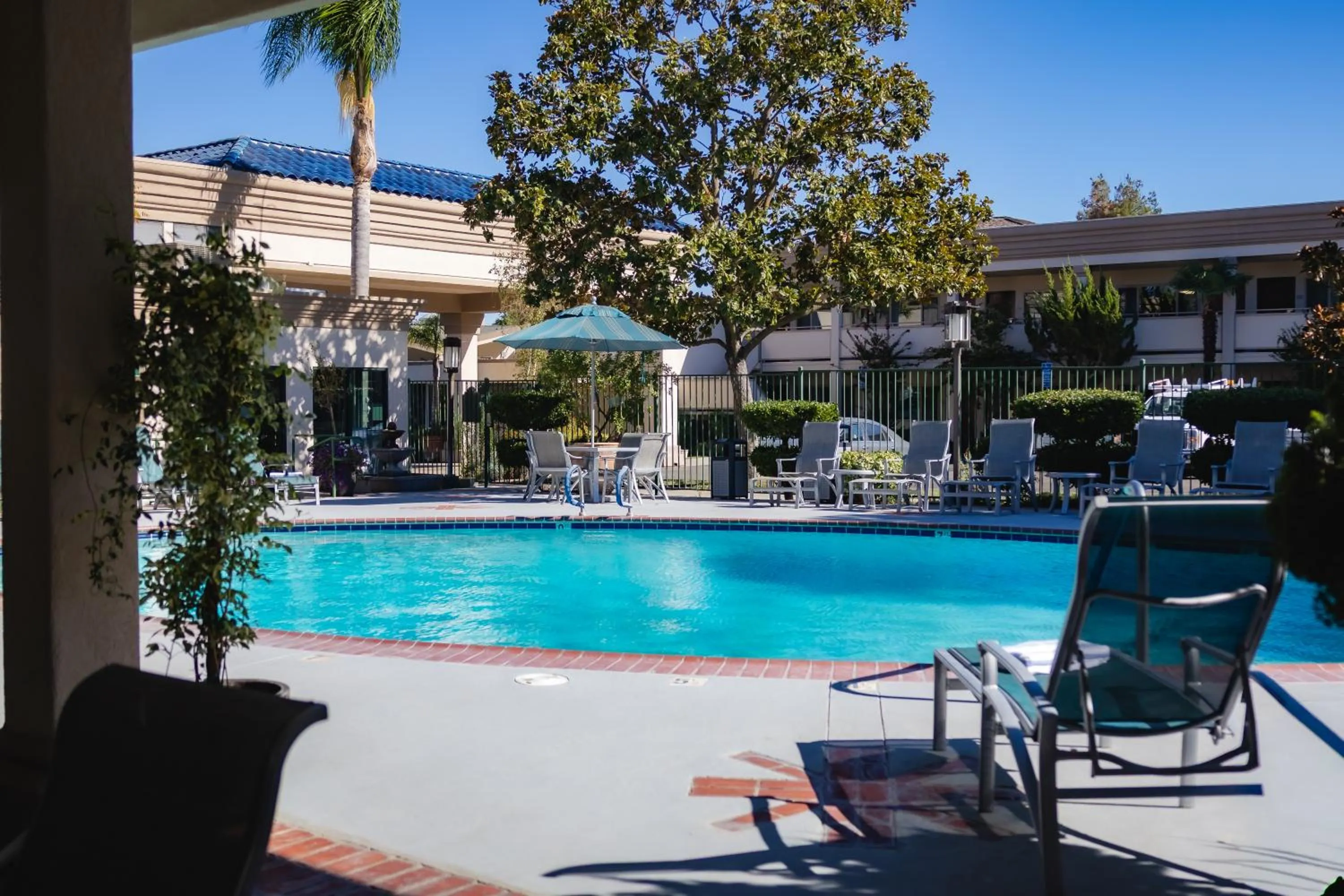 Swimming pool in Best Western Plus Black Oak