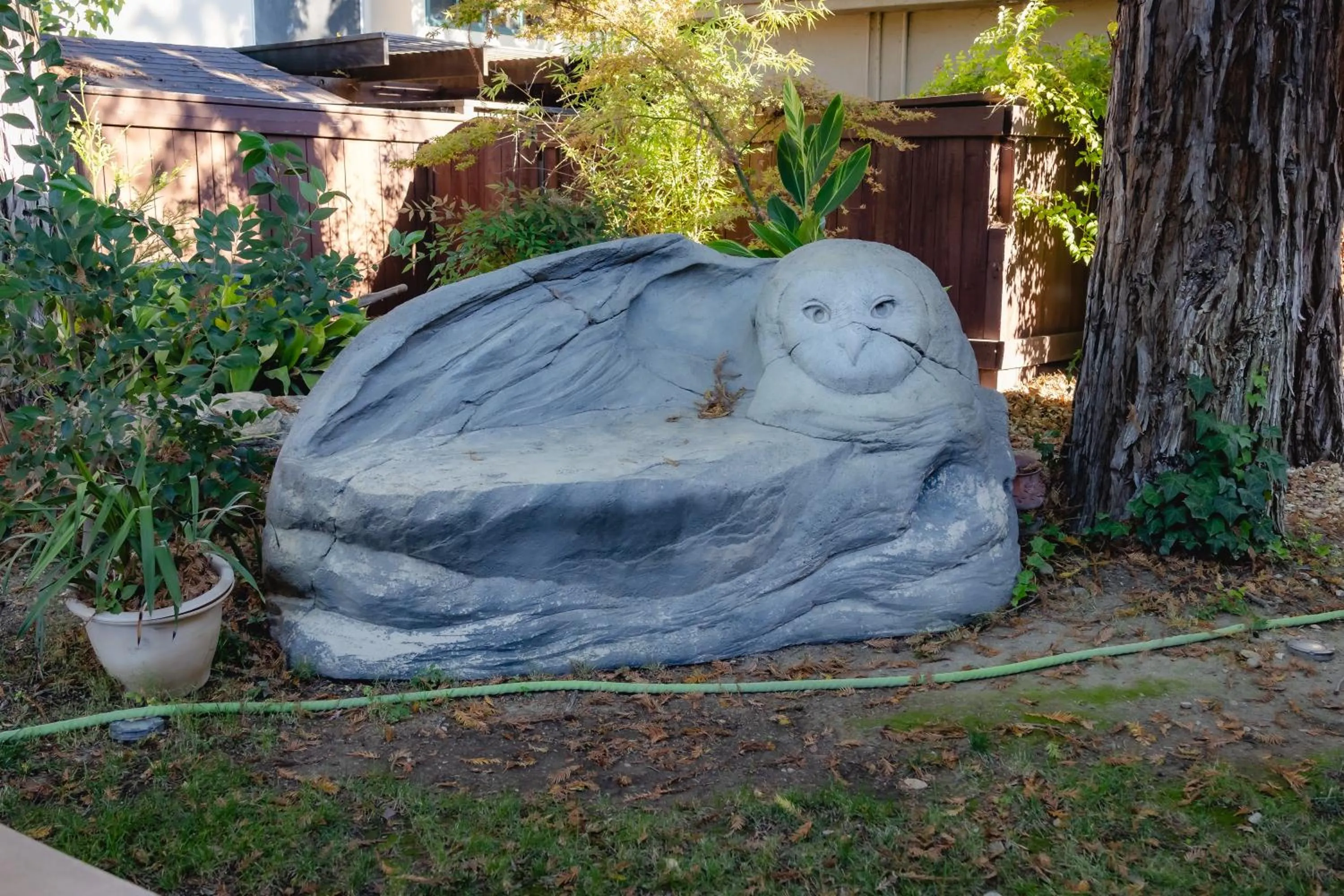 Entertainment in Best Western Plus Black Oak