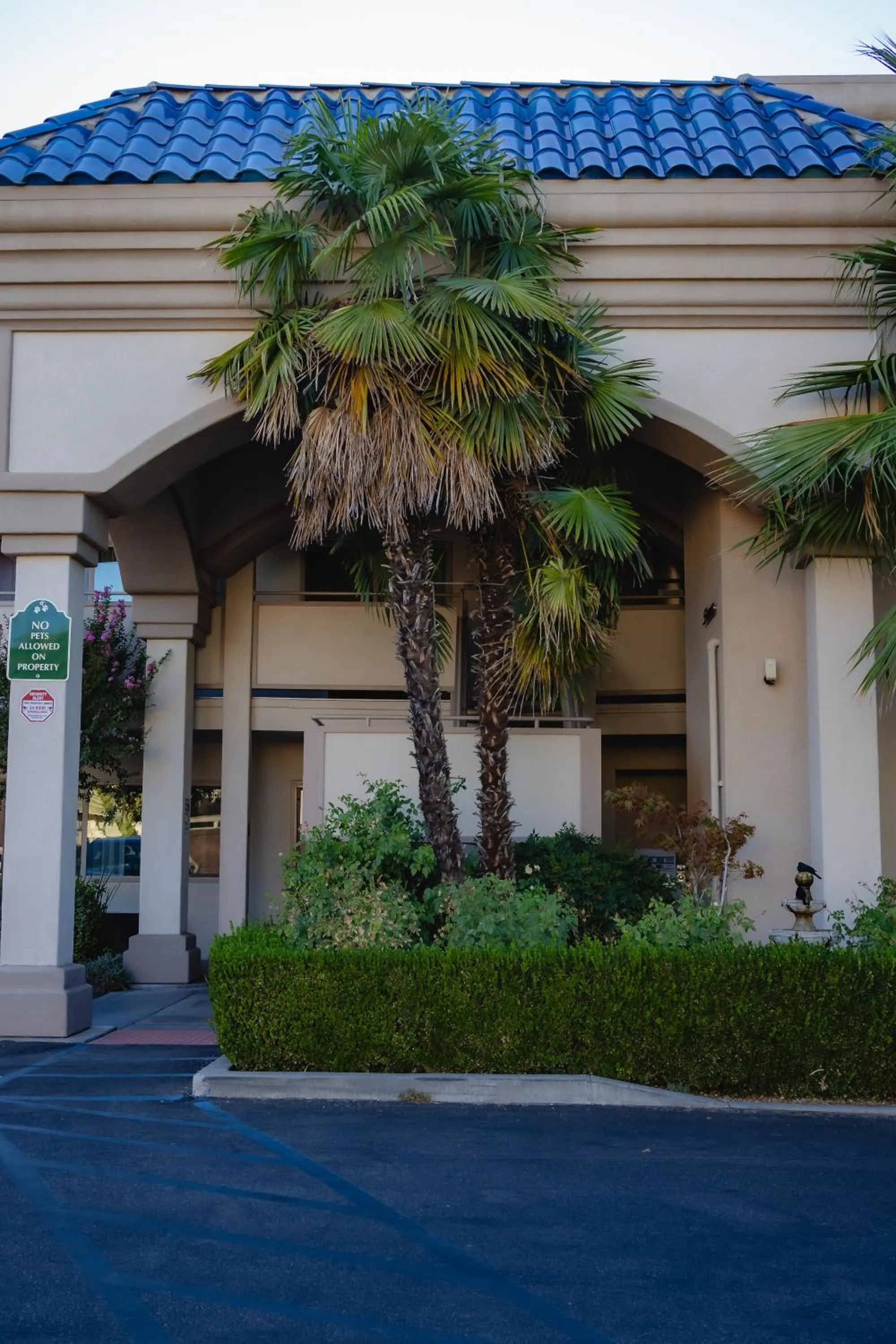 Property building in Best Western Plus Black Oak