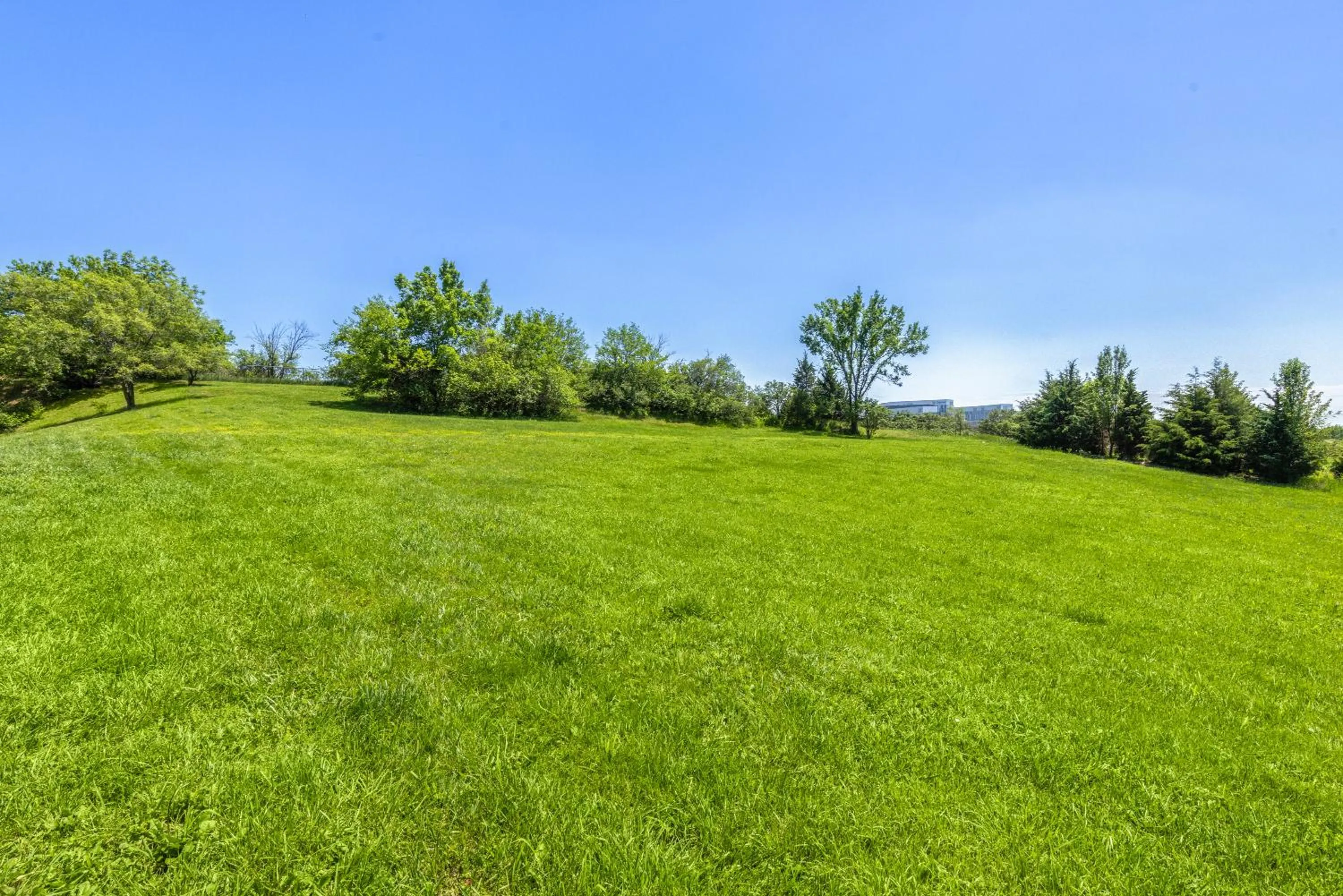 pet friendly in Days Inn & Suites by Wyndham Kansas City - CHIEFS Stadium