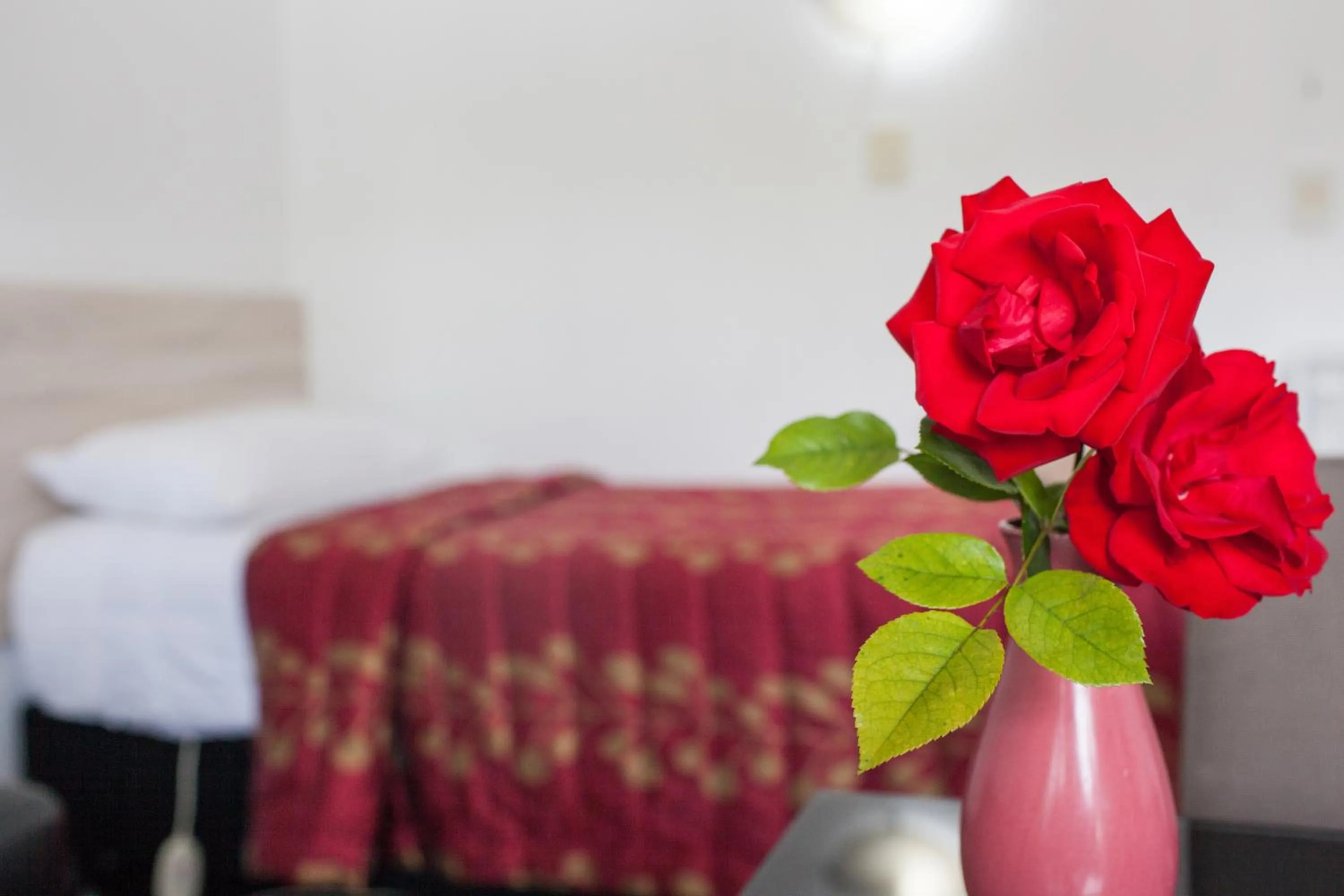 Bed in Rose Court Motel