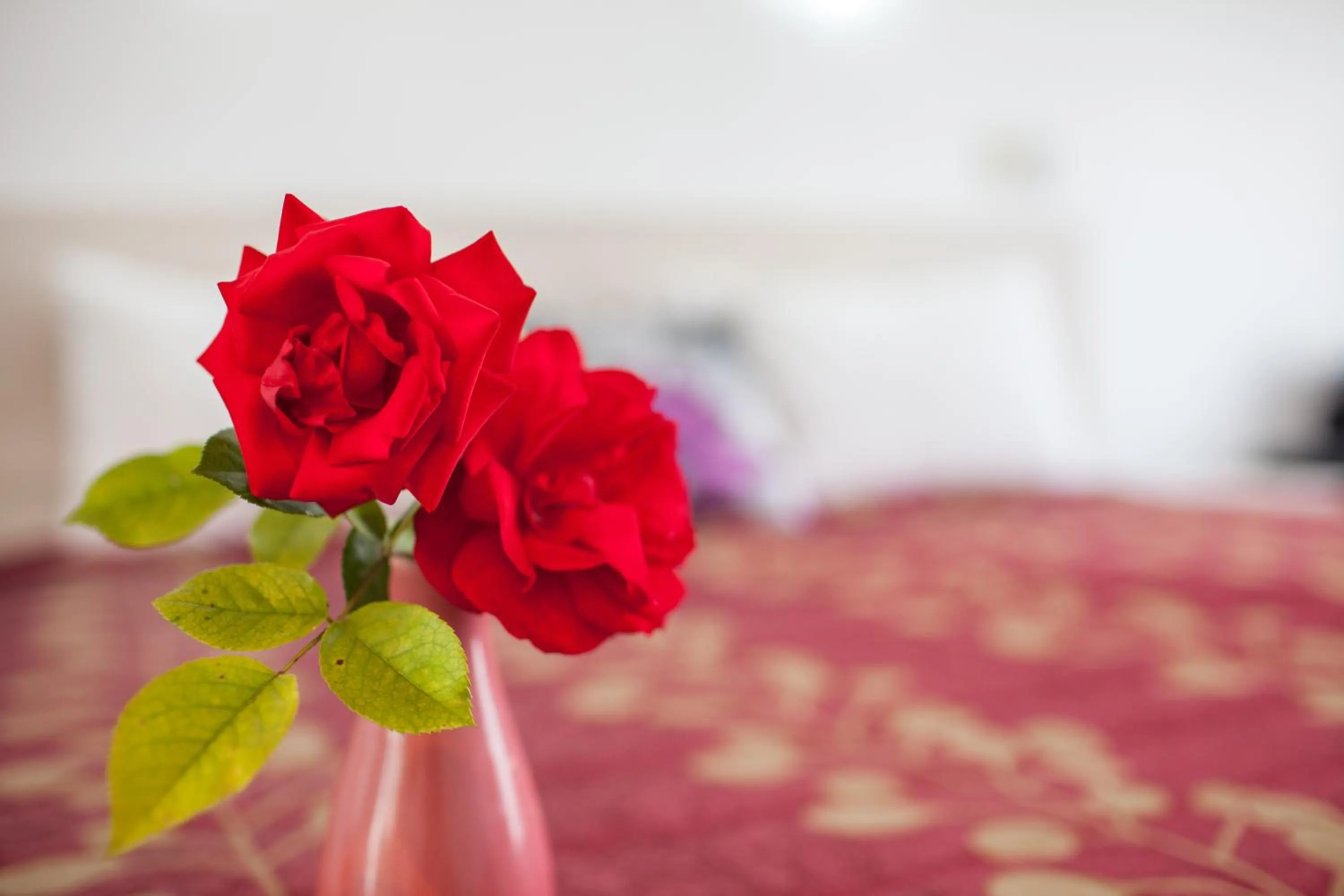 Bed in Rose Court Motel