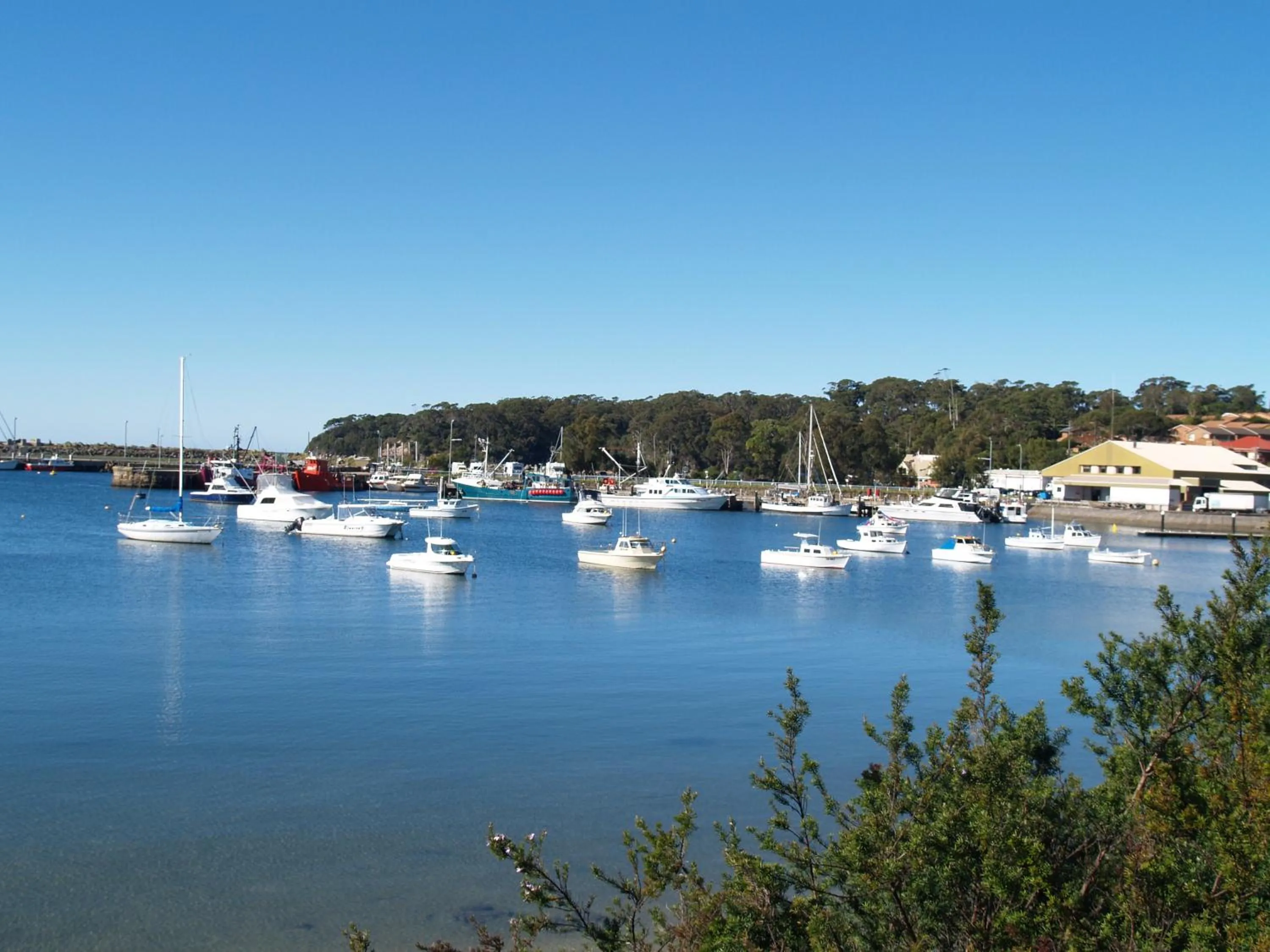 Area and facilities in Pigeon House Motor Inn