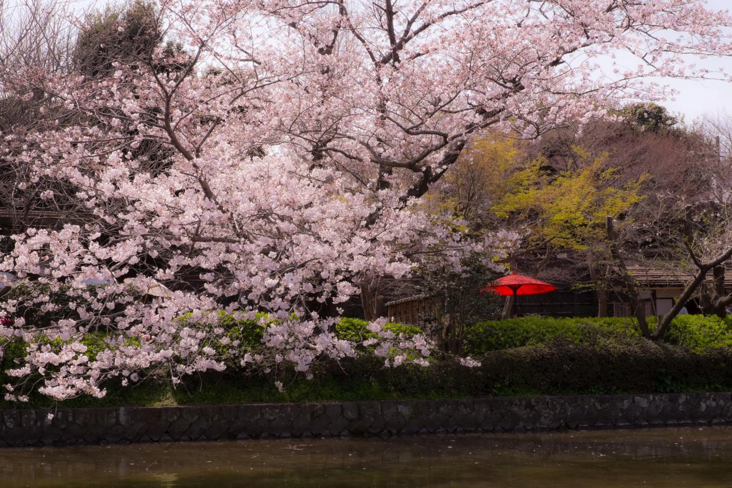 Nearby landmark in Kamakura Park Hotel