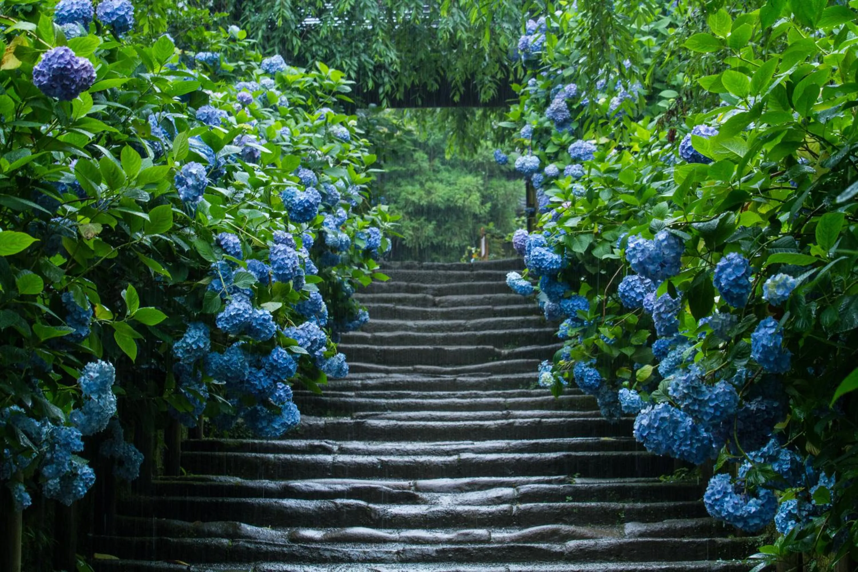 Nearby landmark in Kamakura Park Hotel