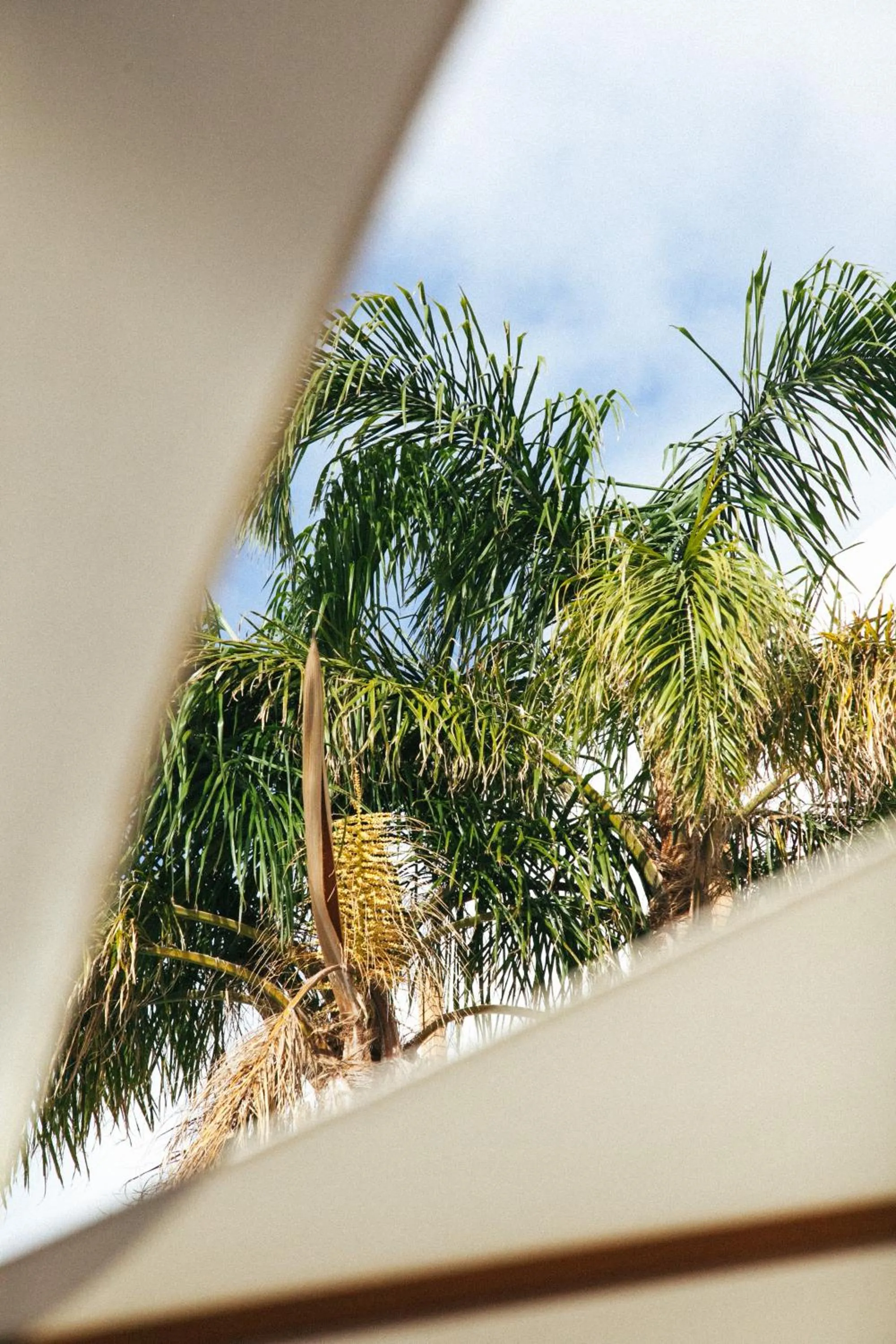 Garden in Indian Ocean Hotel