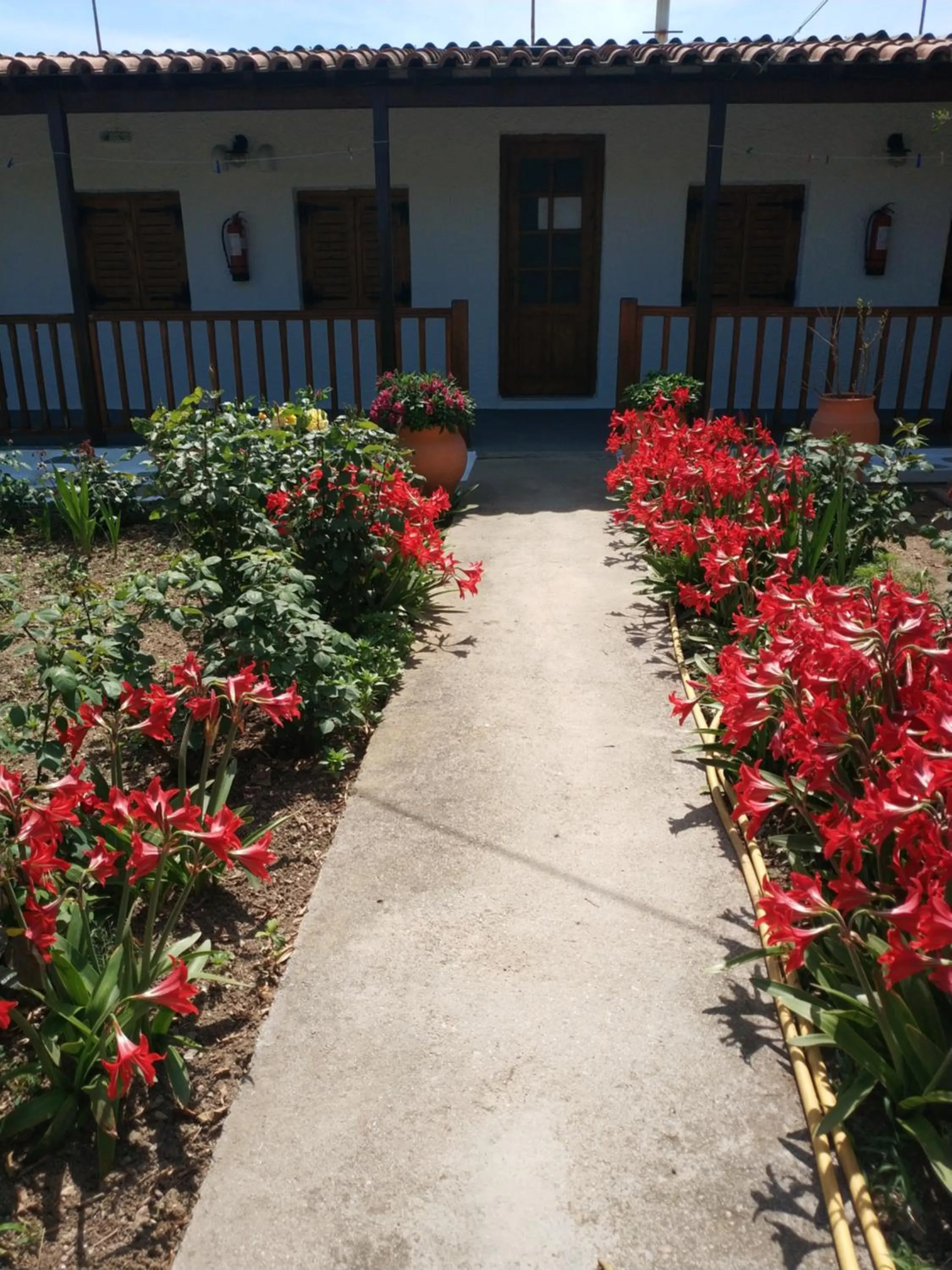 Property building in Asimina's House