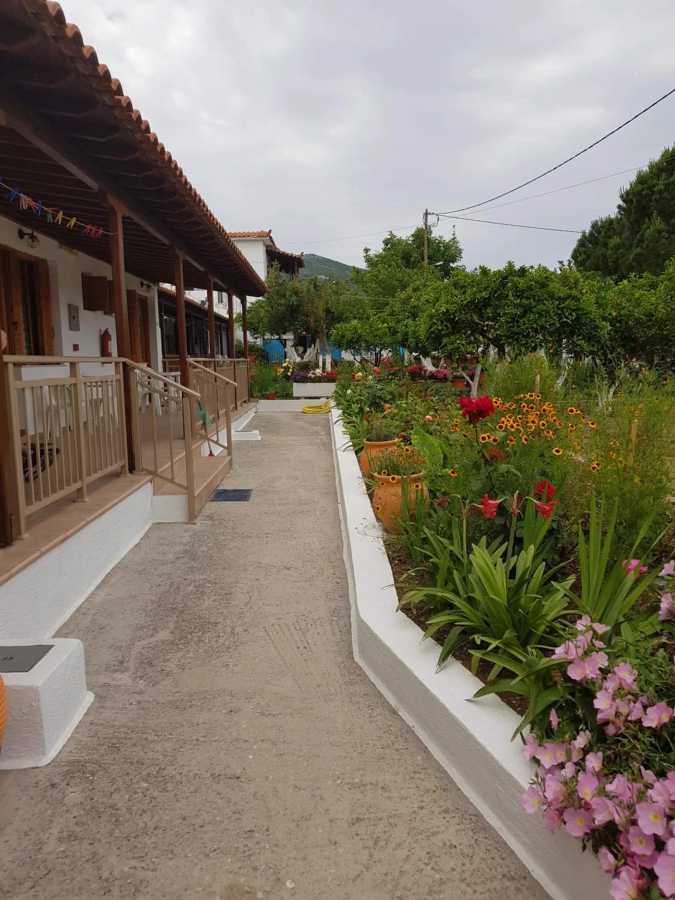 Property building in Asimina's House