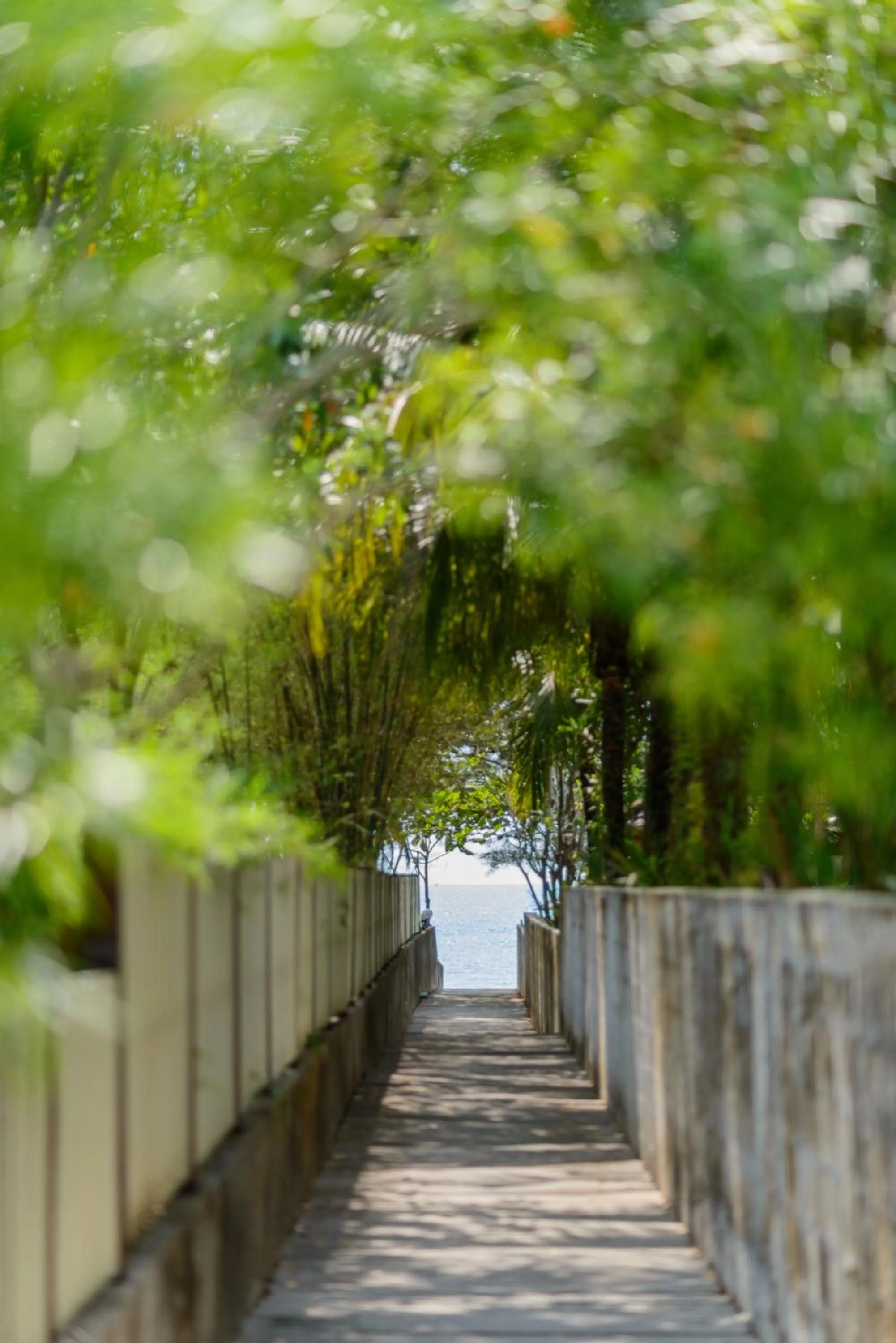 Garden in The Leaf Oceanside by Katathani - SHA Extra Plus