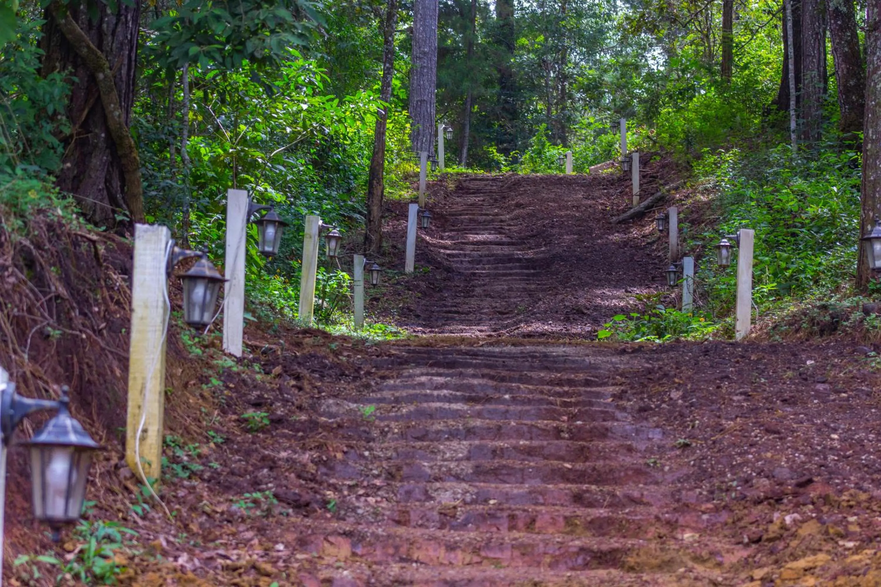 Garden in Hotel Huella Lenca