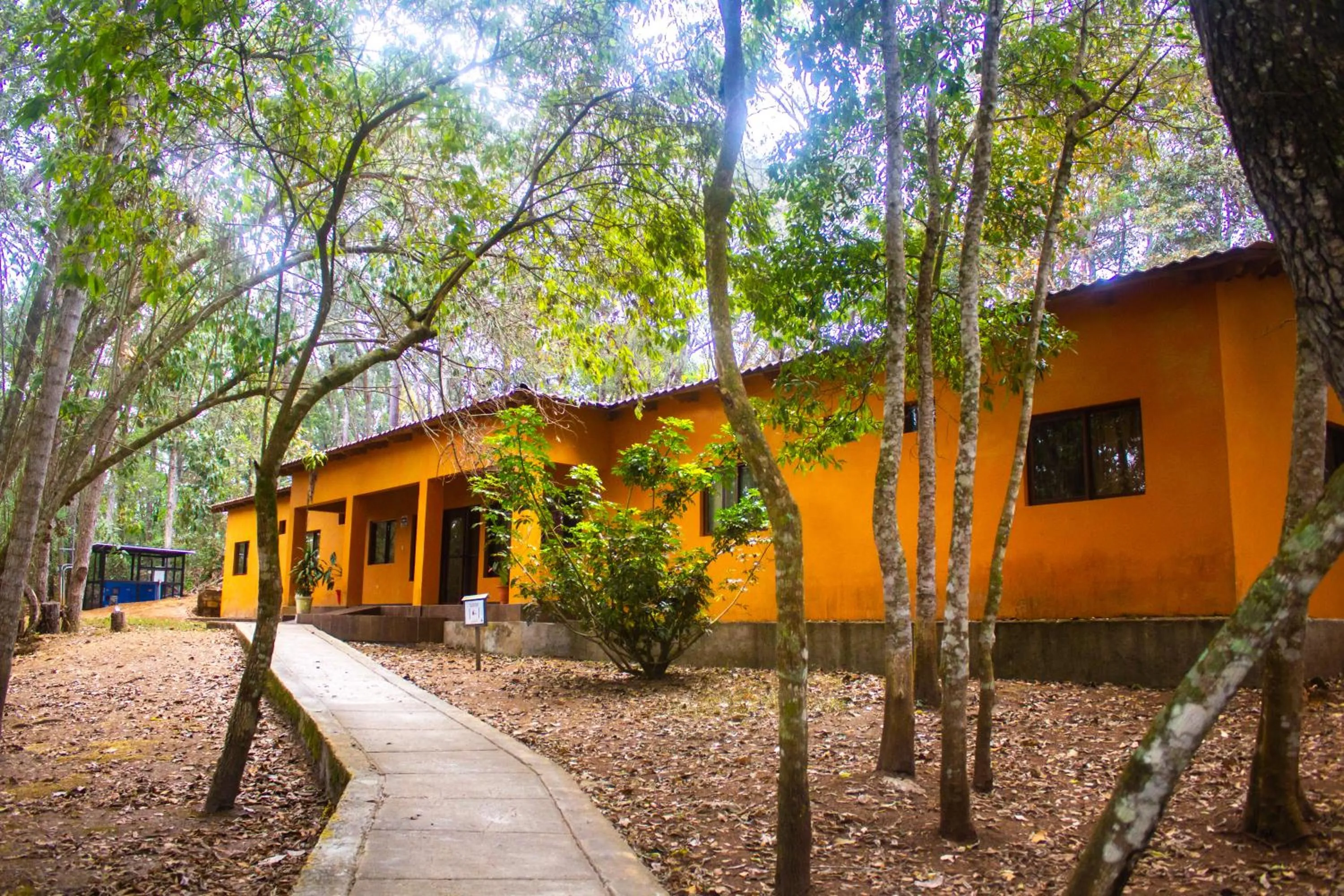 Property building in Hotel Huella Lenca