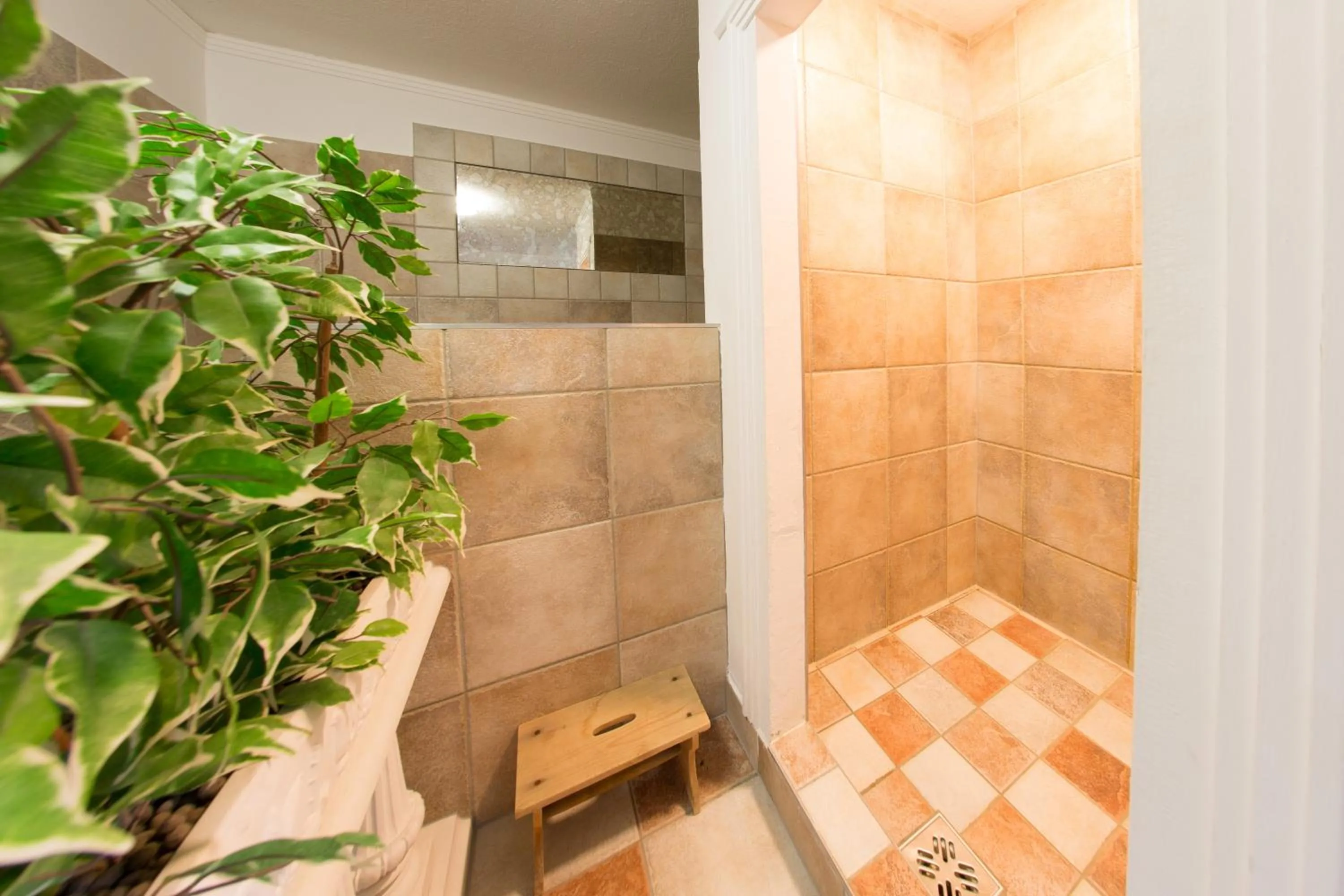 Spa and wellness centre/facilities in Aparthotel Alpin Life