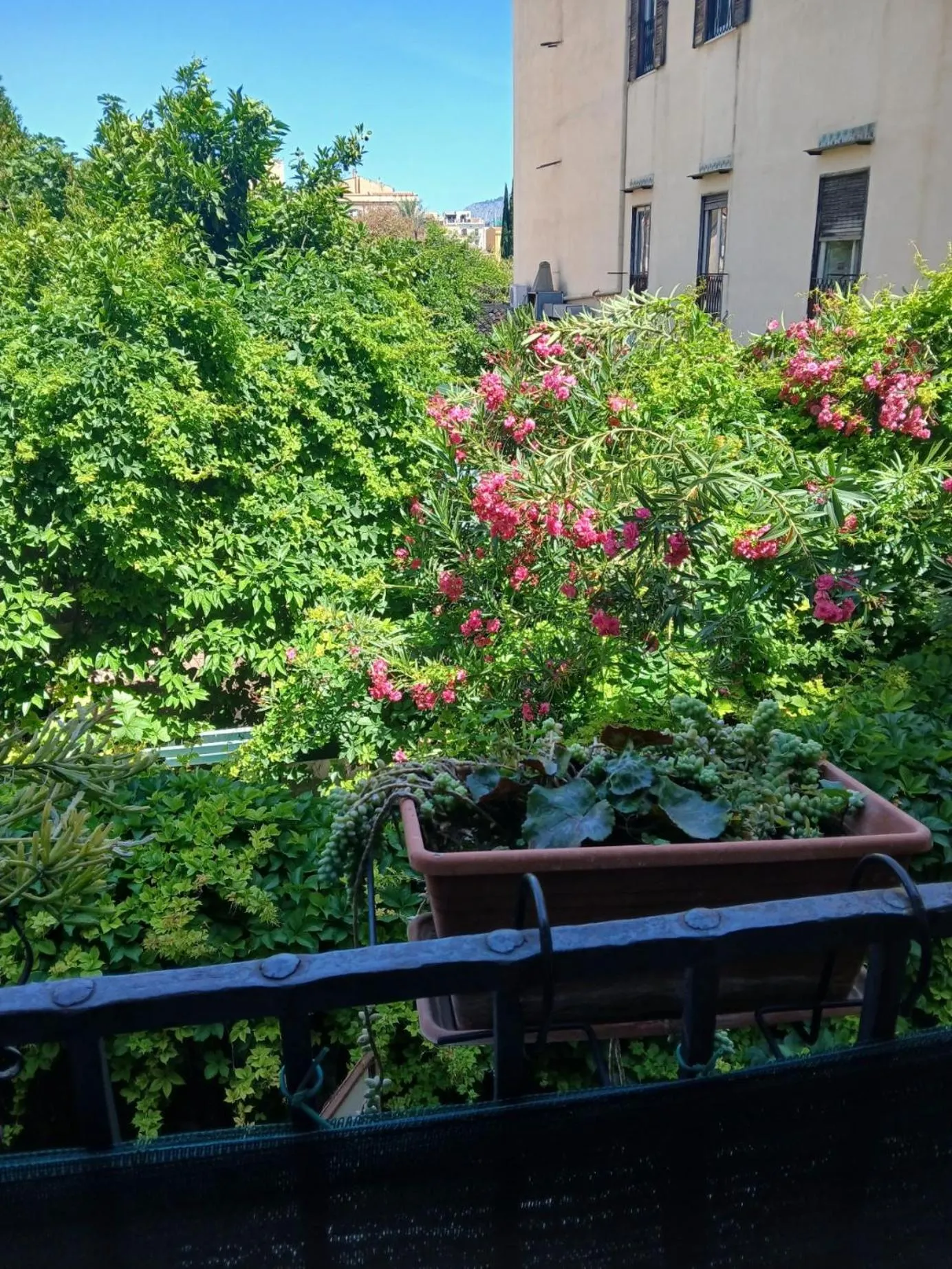 Garden view in B&B Casa Degli Artisti
