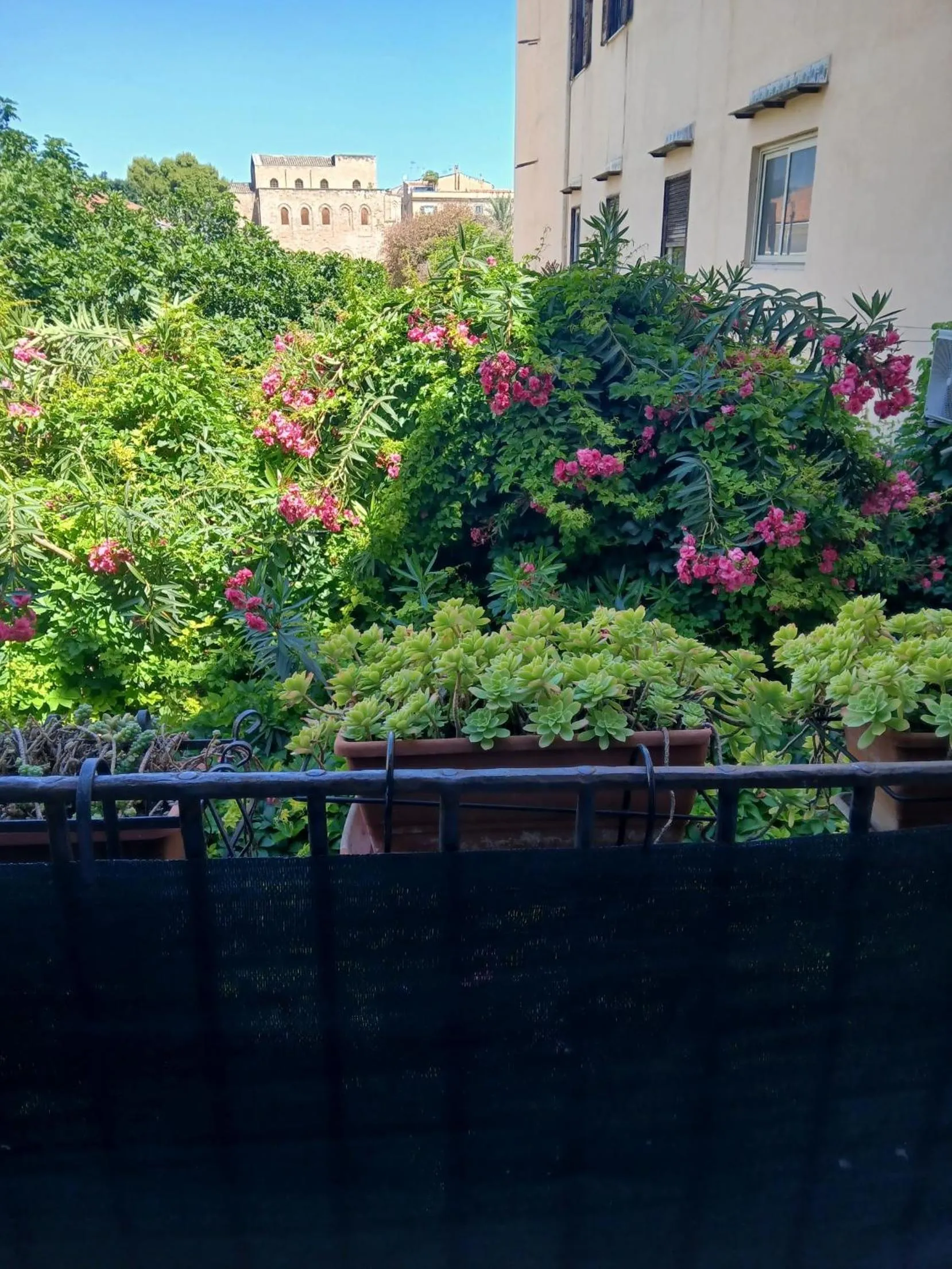 Garden view in B&B Casa Degli Artisti