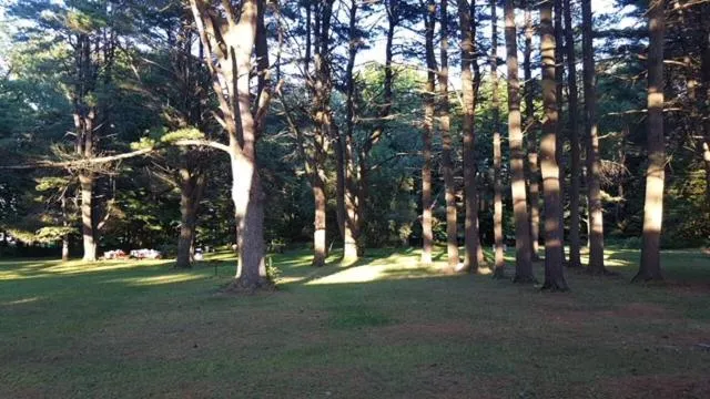 Catskill Motor Court