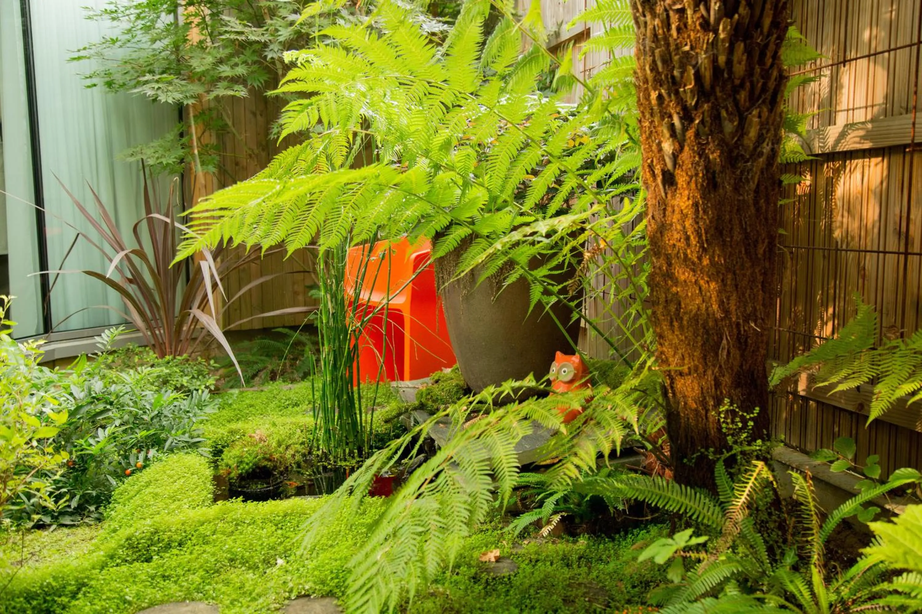 Patio in MAISON KERVARREC - Rennes - Saint-Grégoire
