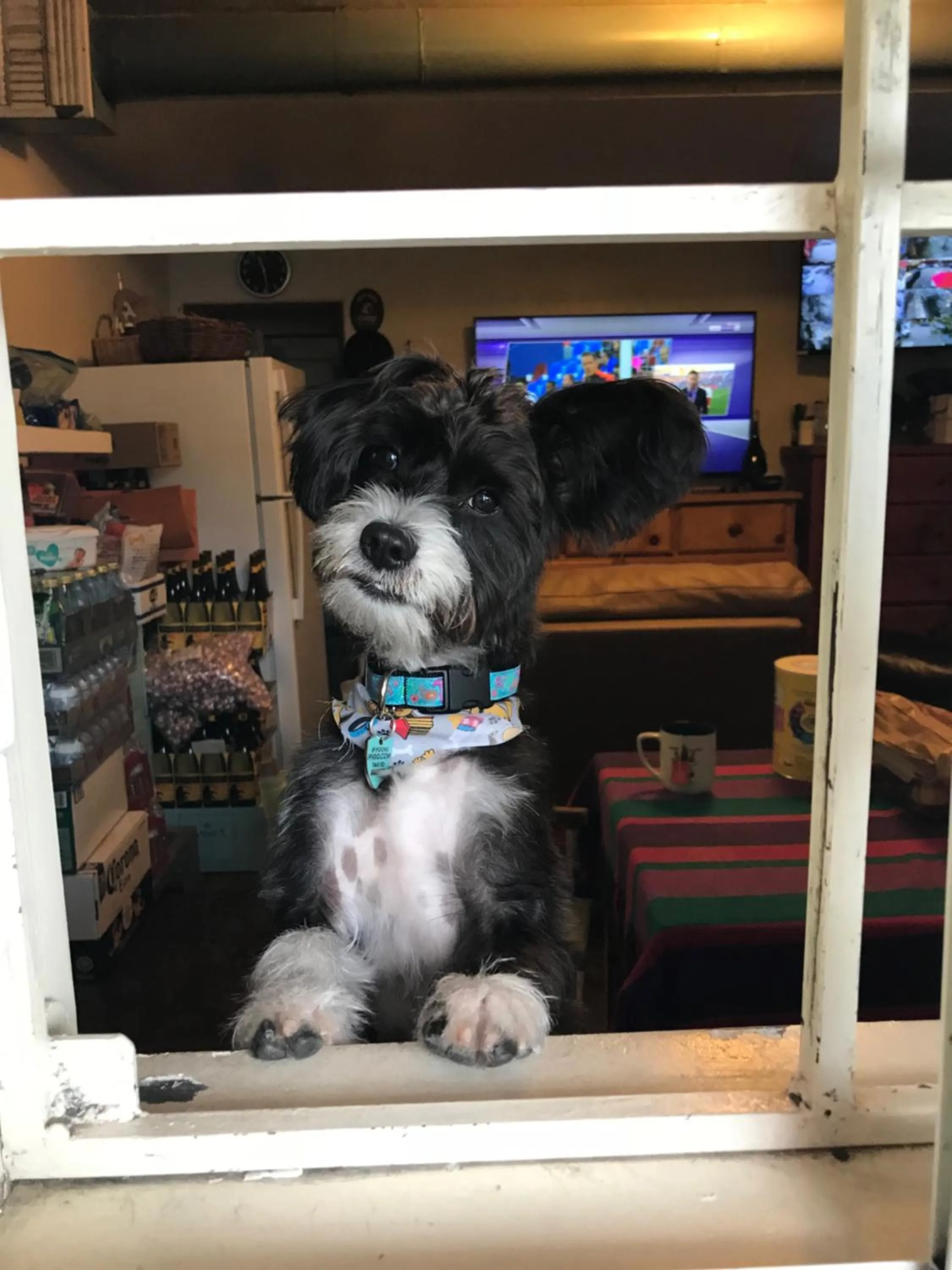 Property building in Villa Brasil Motel