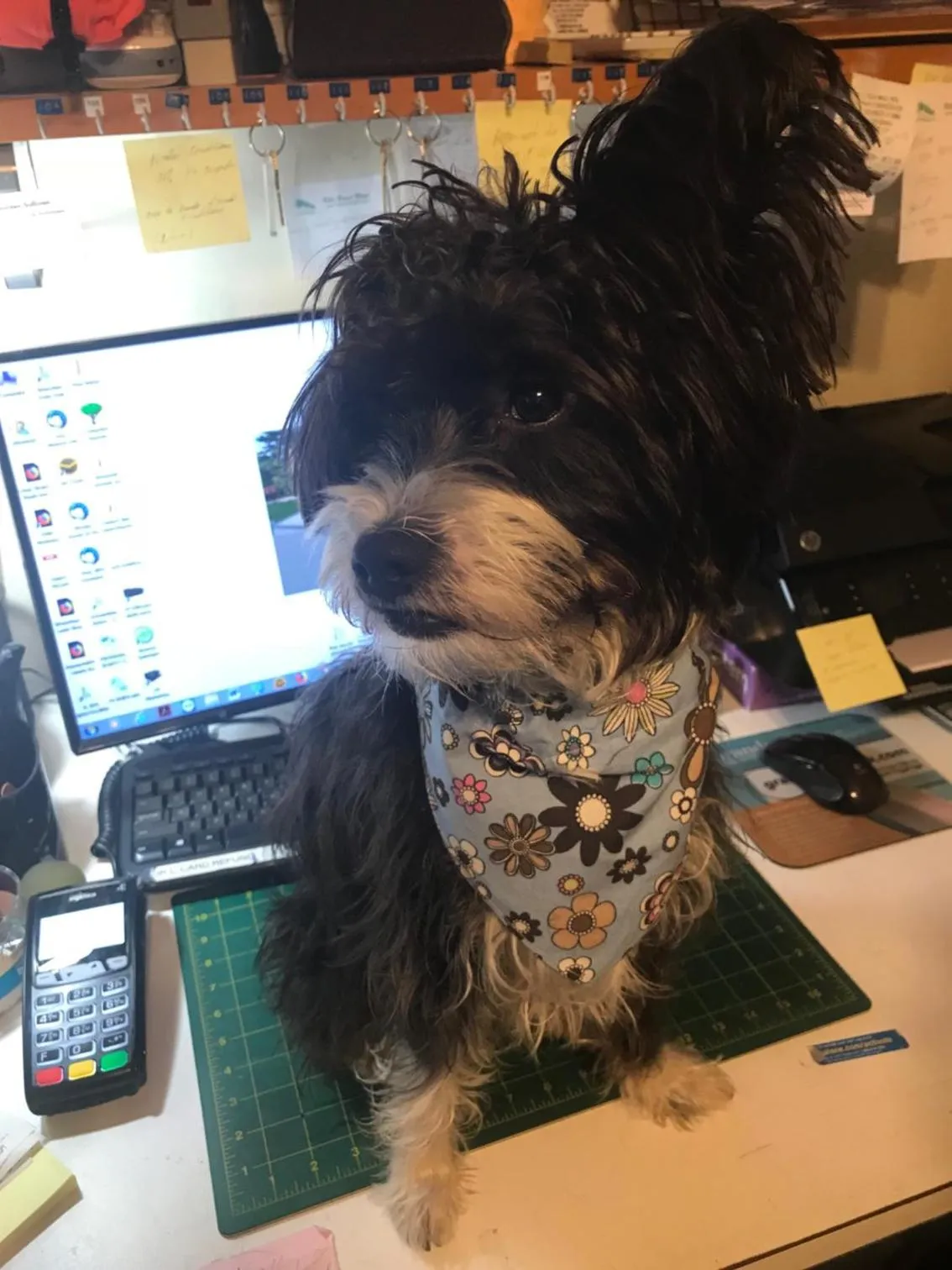 Property building in Villa Brasil Motel