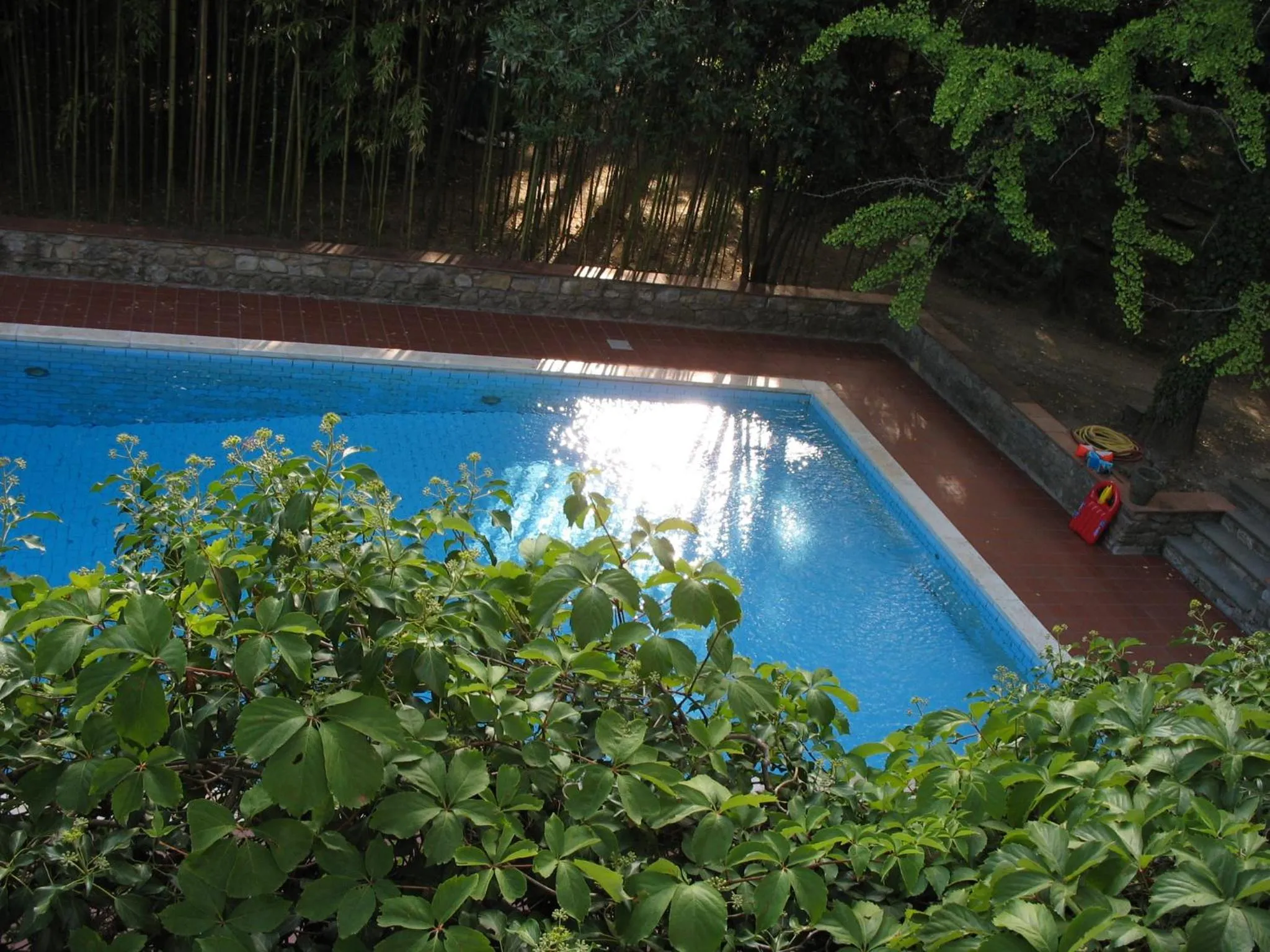 Garden in Villa La Nussa